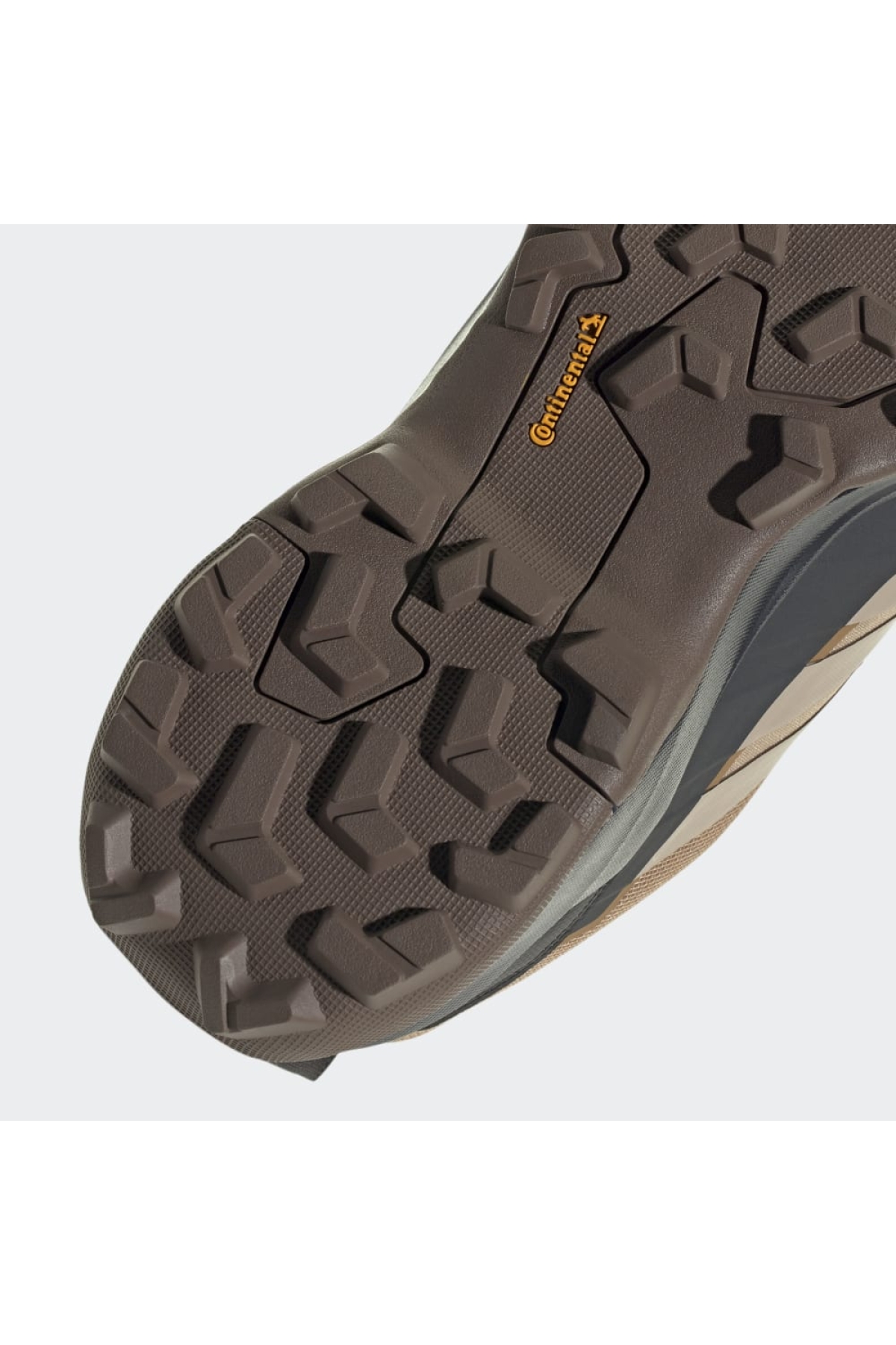 Adidas Kahverengi Adidas Terrex Skychaser AX5