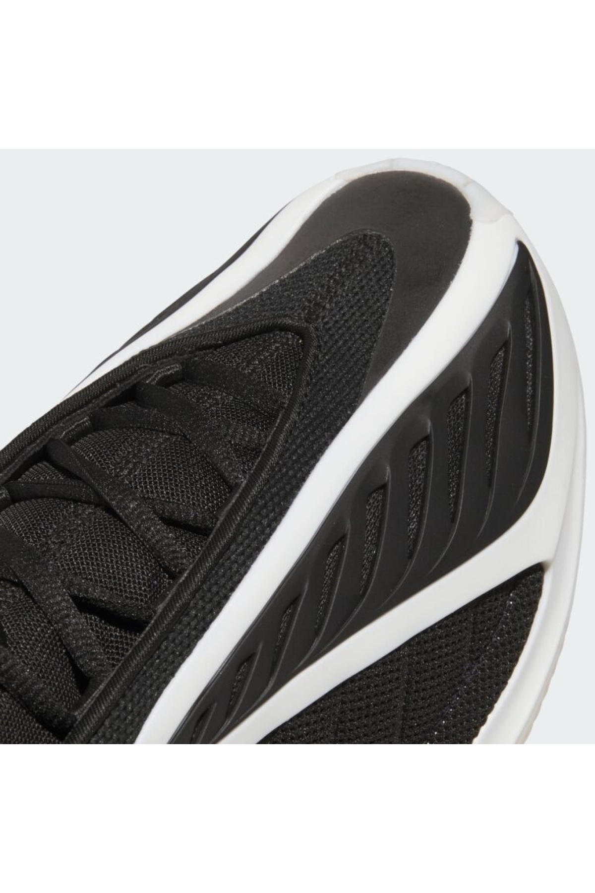 Adidas Siyah Adidas Anthony Edwards 2