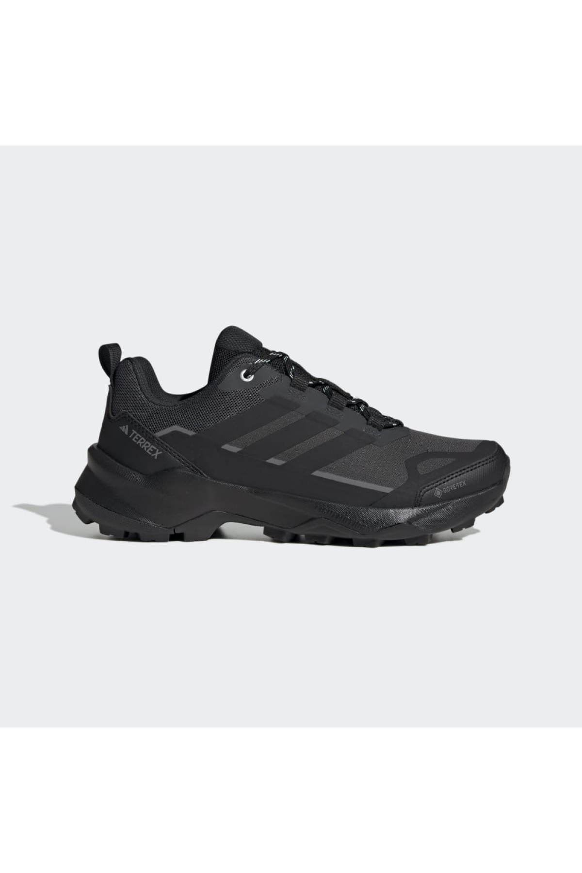 Adidas Siyah Adidas Terrex Skychaser Ax5