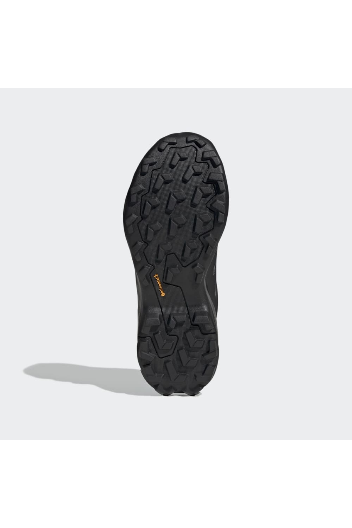 Adidas Siyah Adidas Terrex Skychaser Ax5