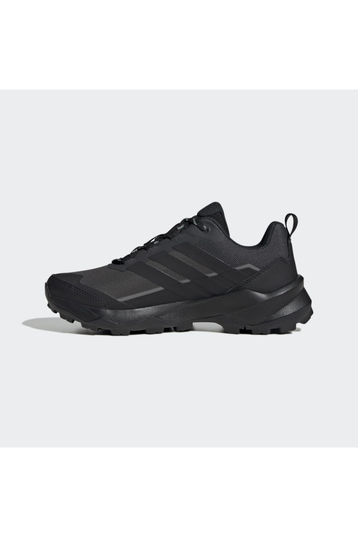Adidas Siyah Adidas Terrex Skychaser Ax5