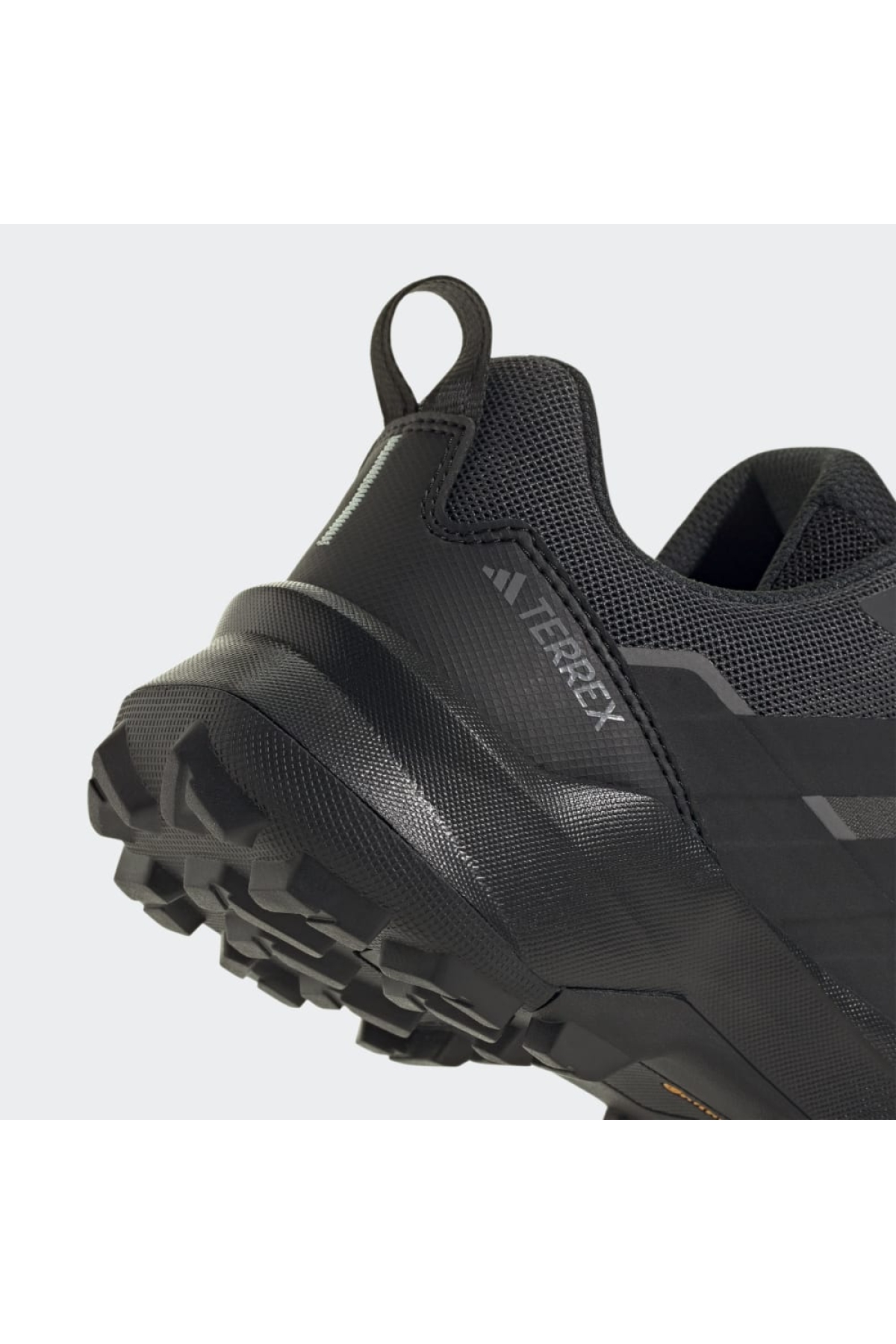 Adidas Siyah Adidas Terrex Skychaser Ax5