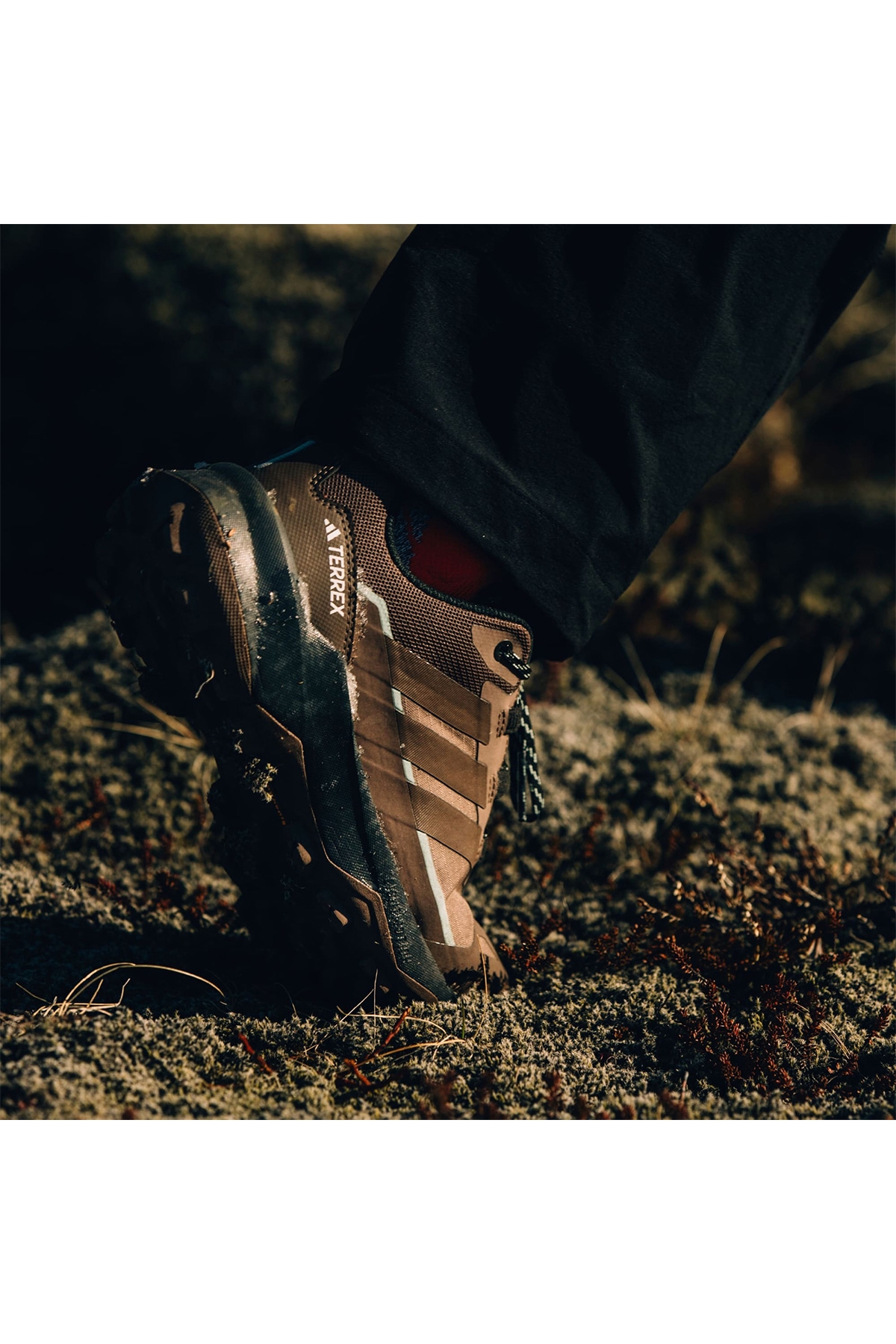 Terrex Skychaser Ax5 Goretex Kadın Kahverengi Outdoor Ayakkabı - Görsel 6