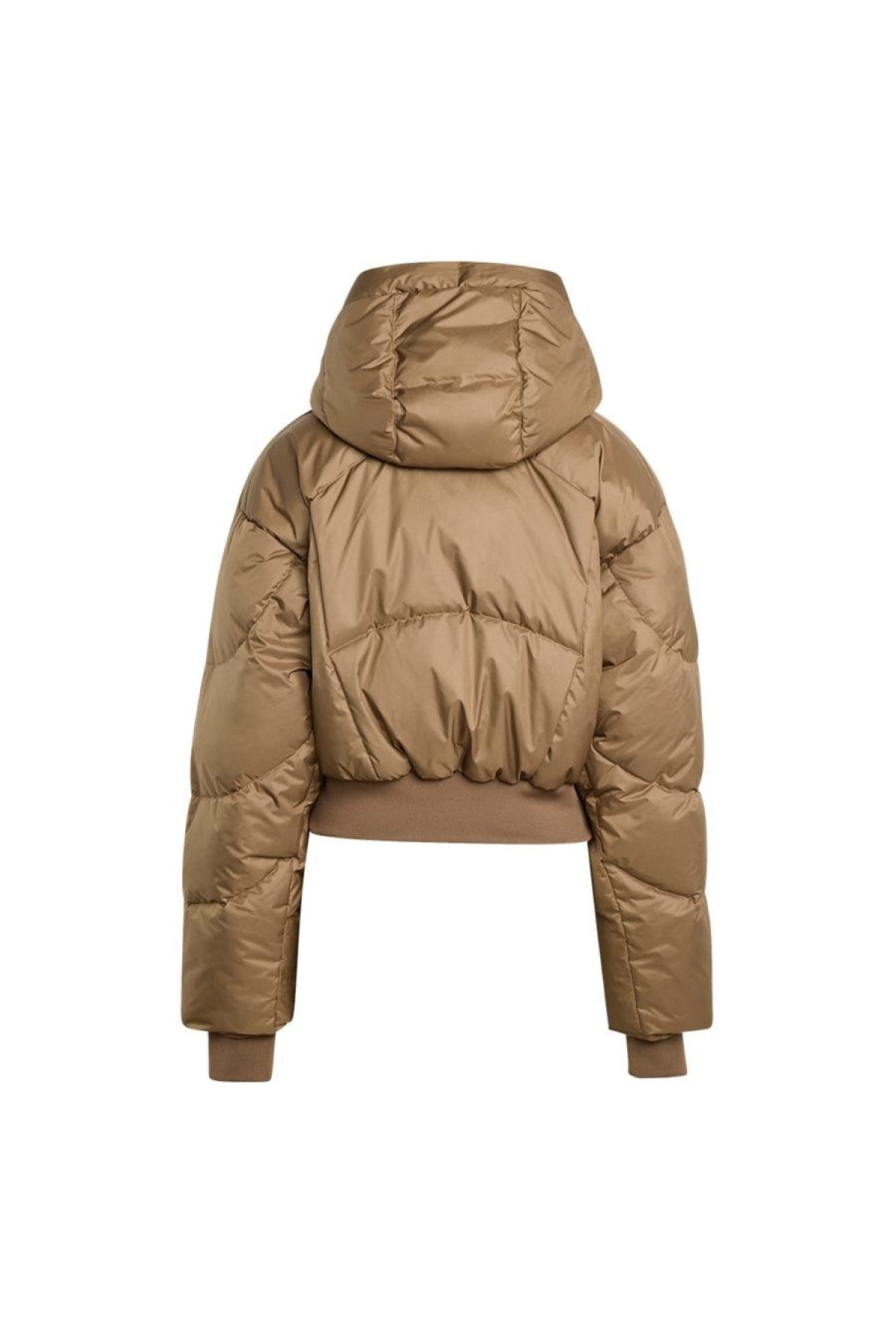 Kadın Kahverengi Mont aSMC CROP PUF JM3652 Fiyatları | Flo