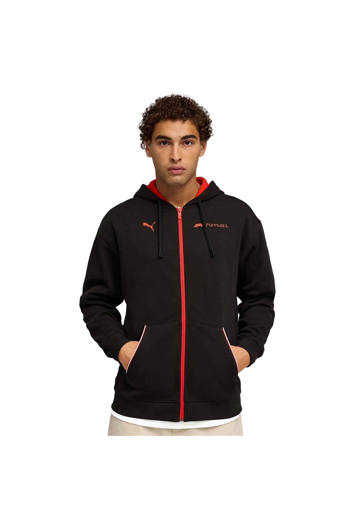 F1 Essential+ Fullzip Hoodie Erkek Fermuarlı Sweatshirt 63265301