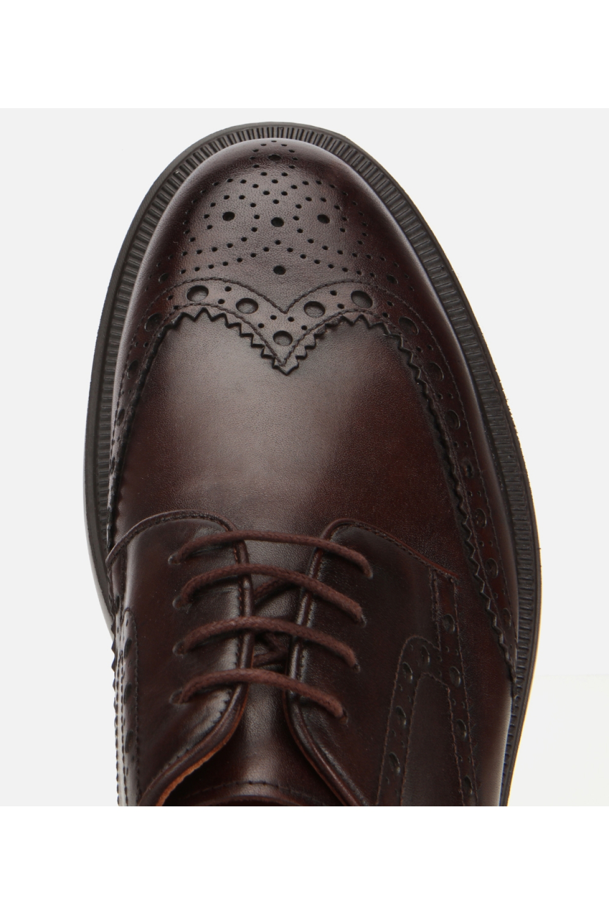 Erkek Deri Kahverengi Rahat Klasik Ayakkabı - Görsel 5