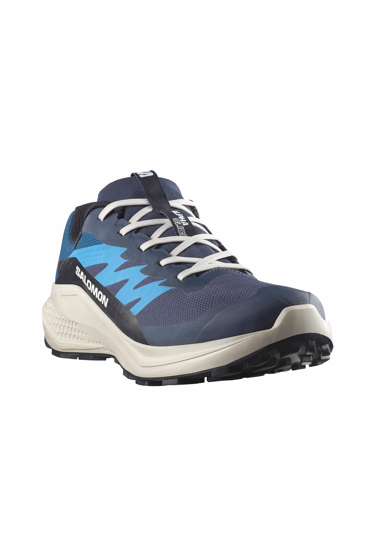 Alphaglıde Gore-Tex Erkek Patika Koşusu Ayakkabısı - Görsel 3