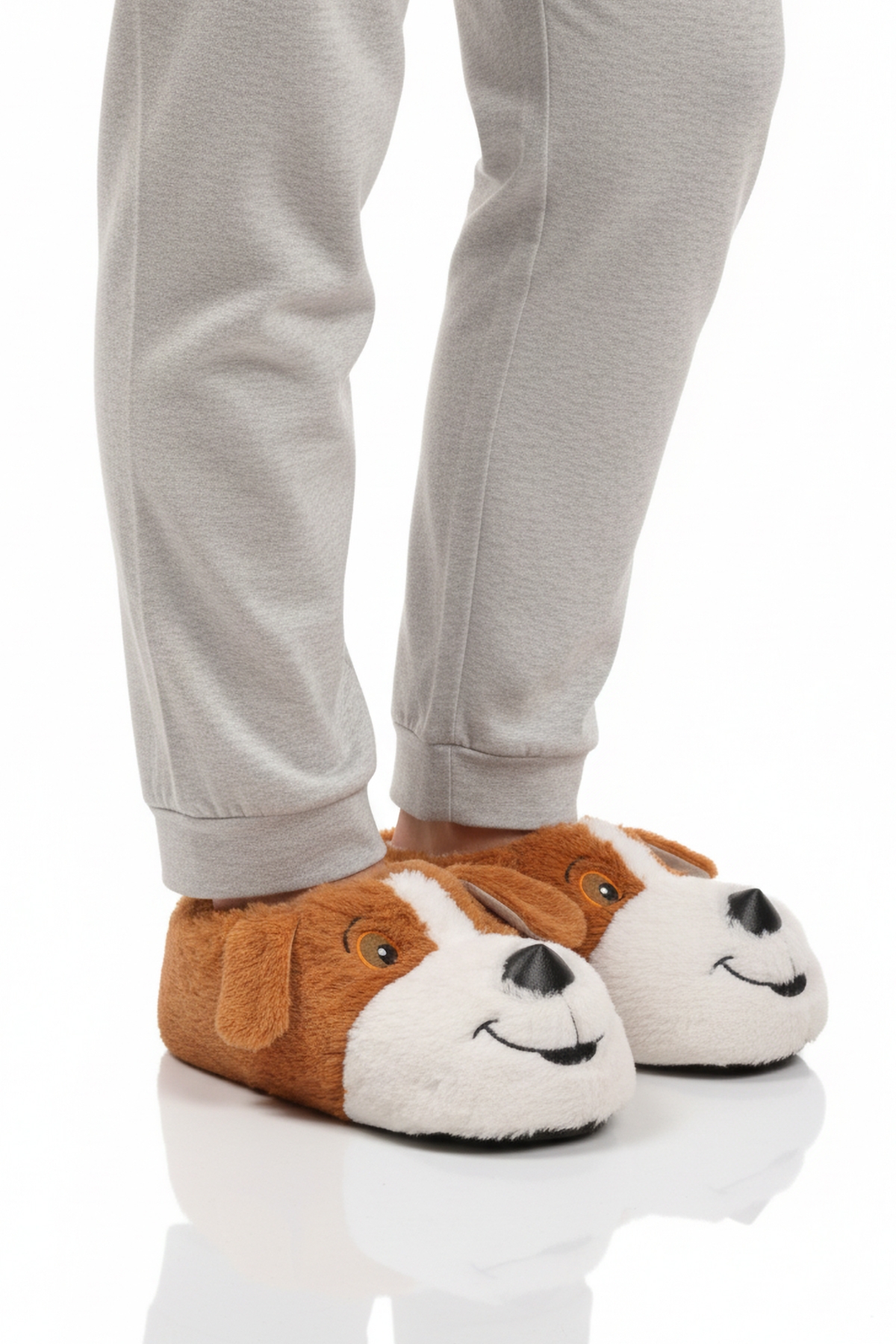 A Spor Aspor Köpek Desenli Unisex Panduf model görseli