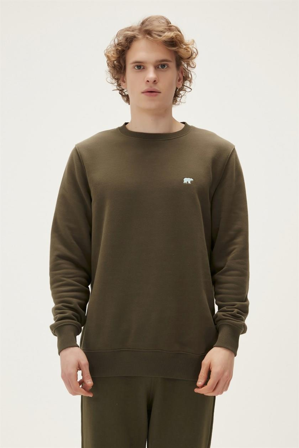 22.02.12.028-C70 Geofox Erkek Sweatshirt Fiyatları - 201679132 | Flo
