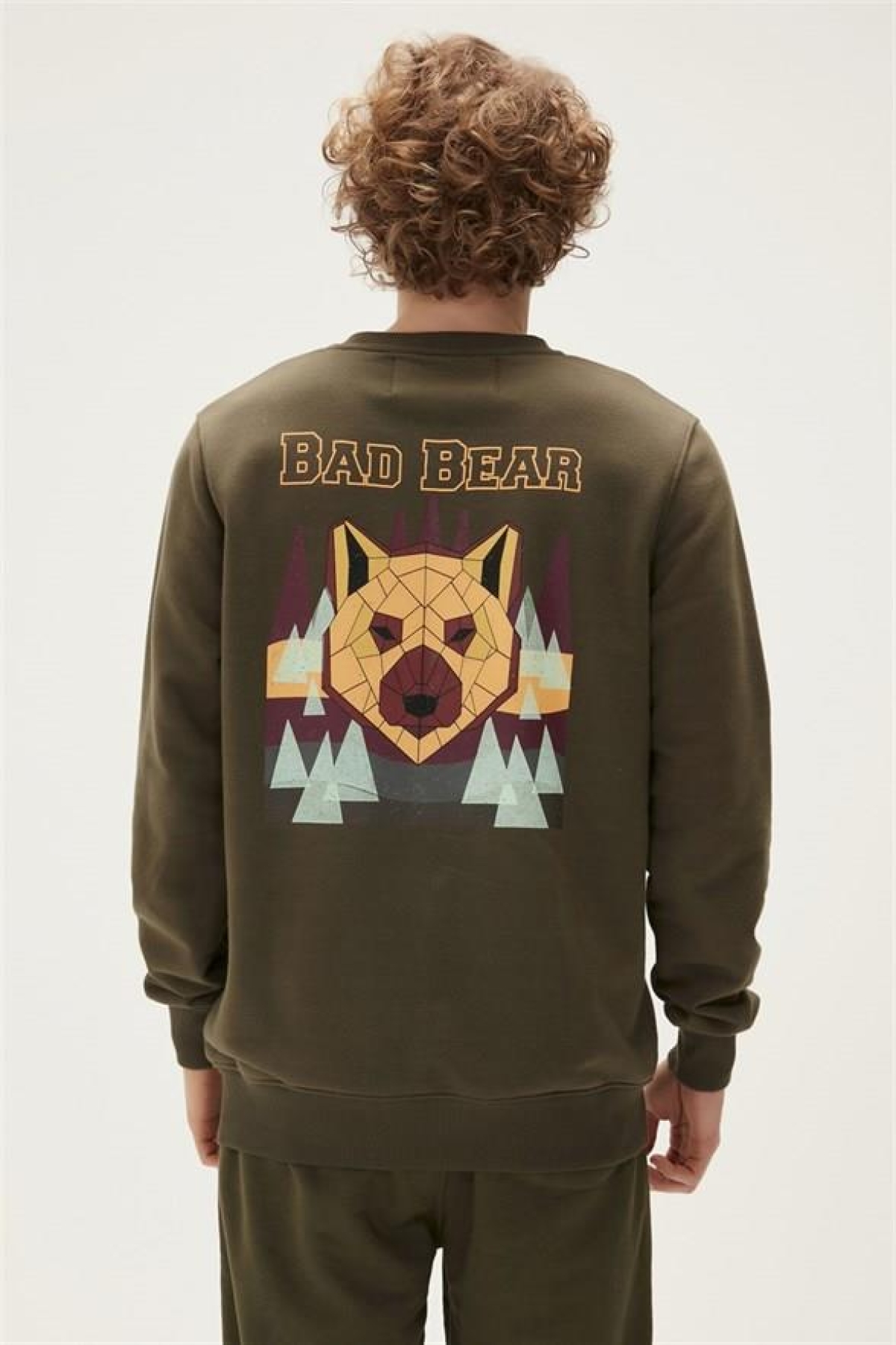 22.02.12.028-C70 Geofox Erkek Sweatshirt Fiyatları - 201679132 | Flo