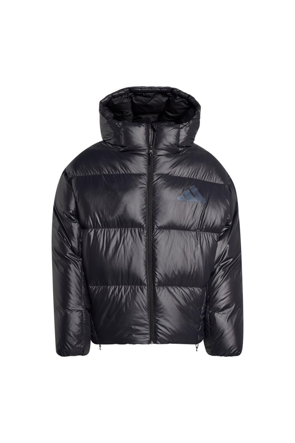 Erkek Siyah Mont M Z.N.E. PUFFER JL6905 Fiyatları - 201683083 | Flo