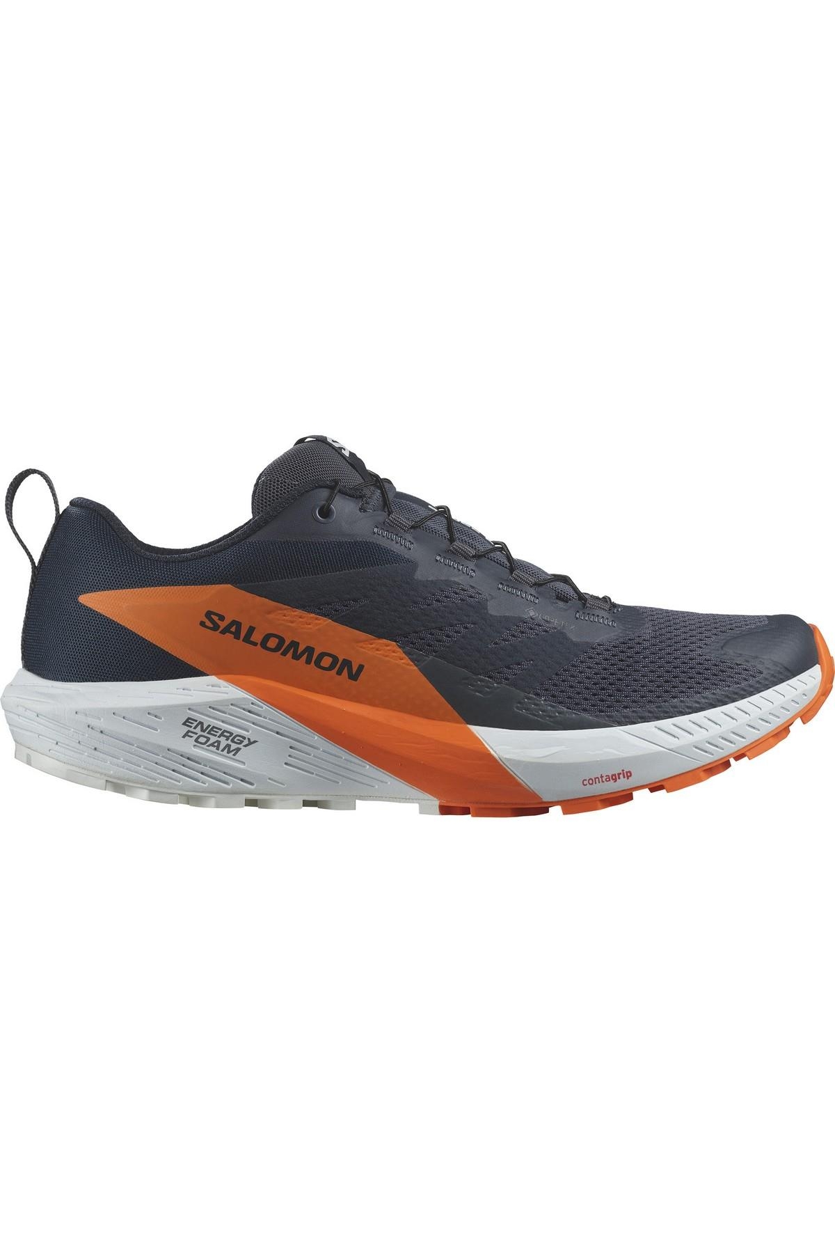 Salomon Salomon Mavi L47459400 Ride 5 Gtx Erkek Koşu Ayakkabısı Sneaker | Flo Mavi - 2. görsel