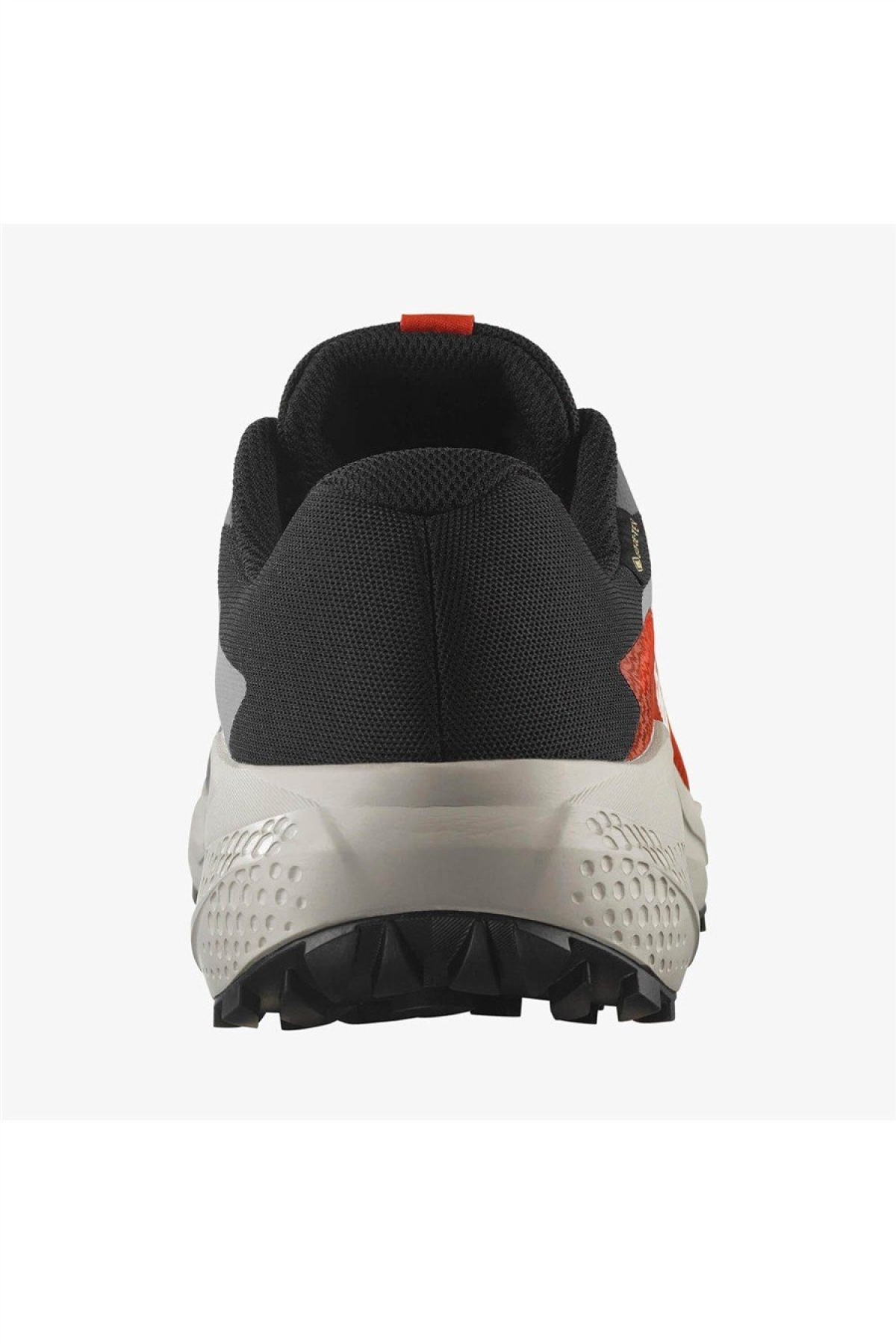 Salomon Gri Salomon Alphaglide Gore Gore-tex