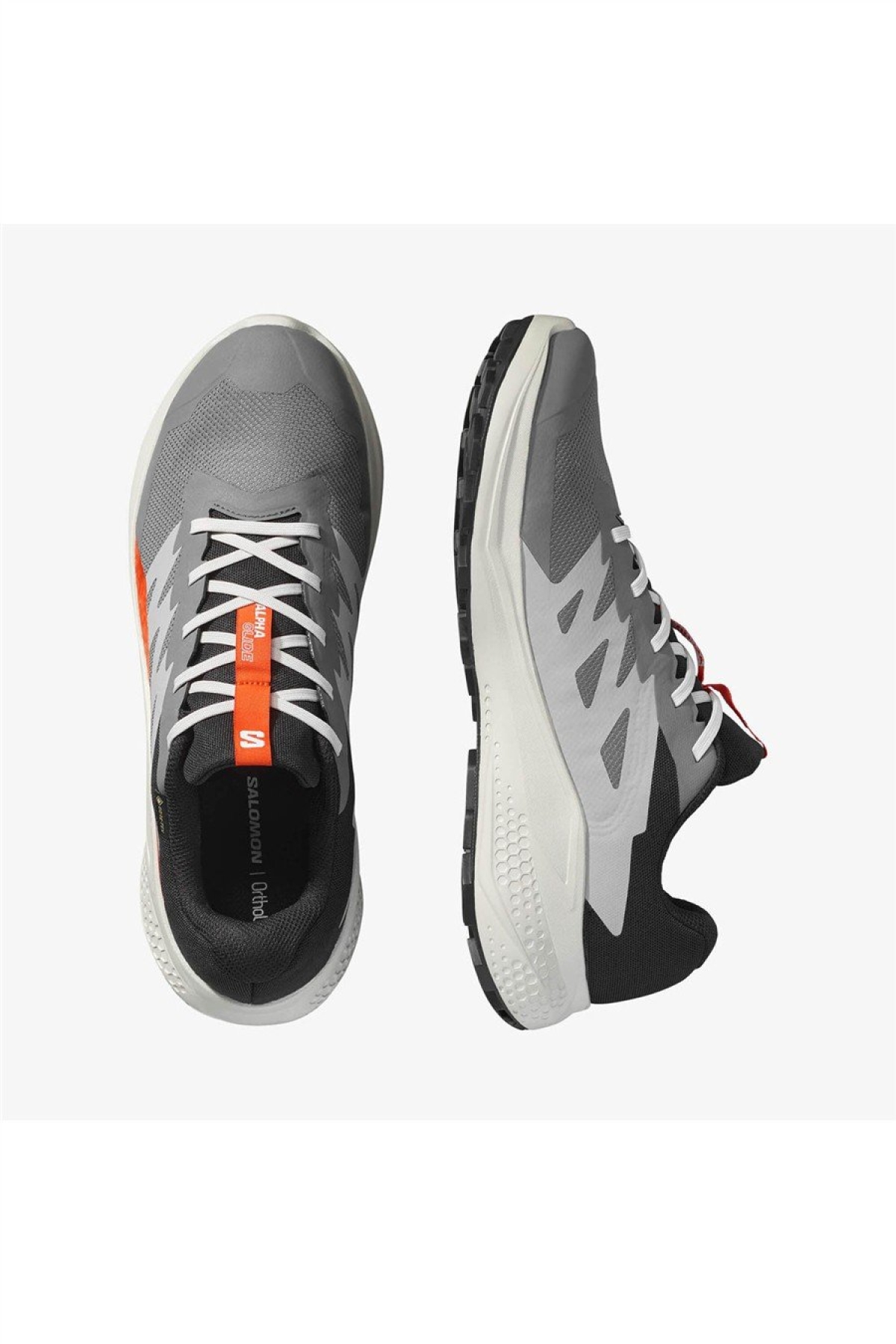 Salomon Gri Salomon Alphaglide Gore Gore-tex