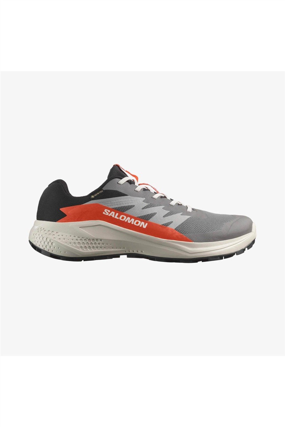 Salomon Gri Salomon Alphaglide Gore Gore-tex