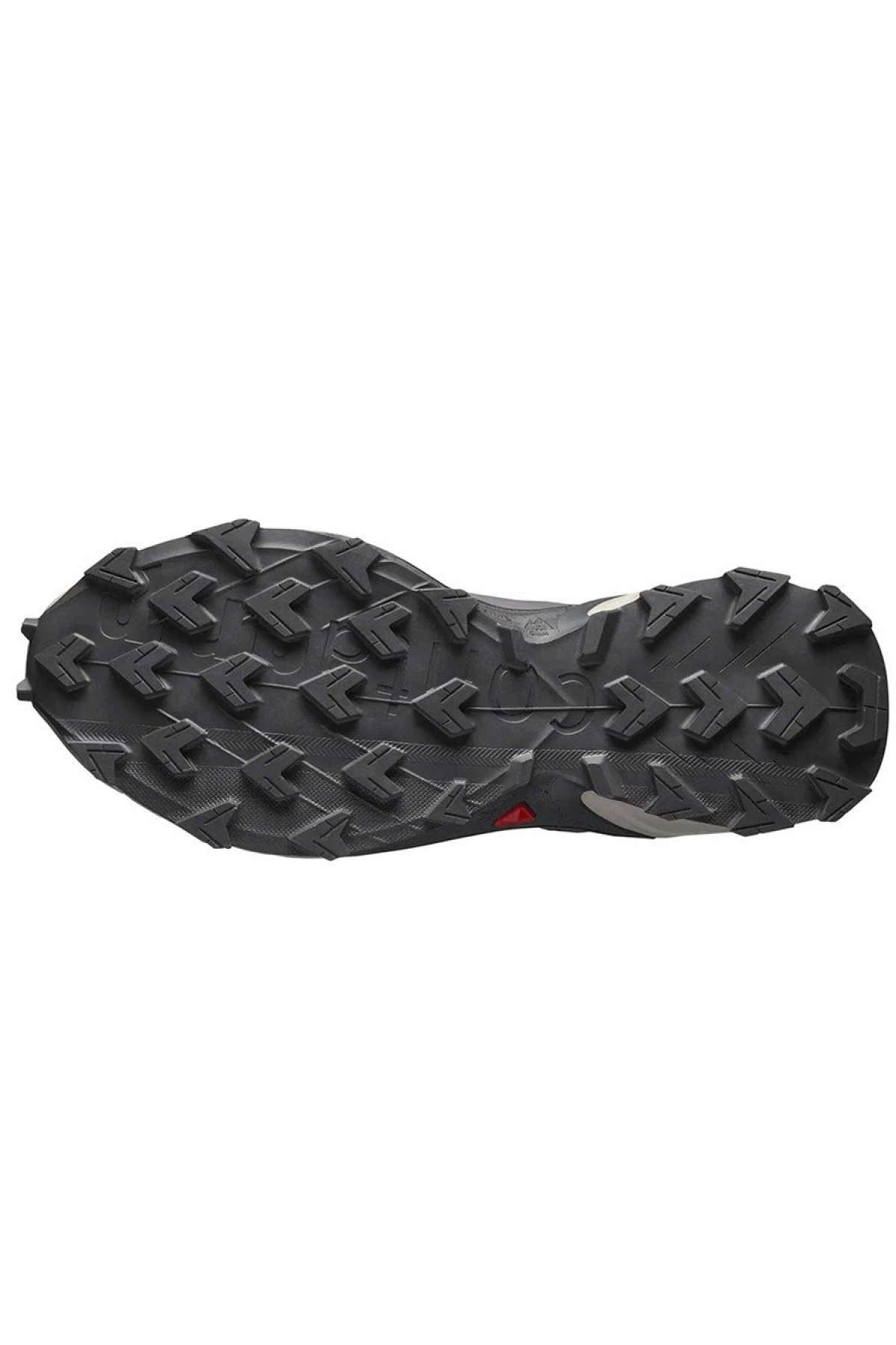 Salomon Mavi Salomon Speedcross 6 GORE-TEX