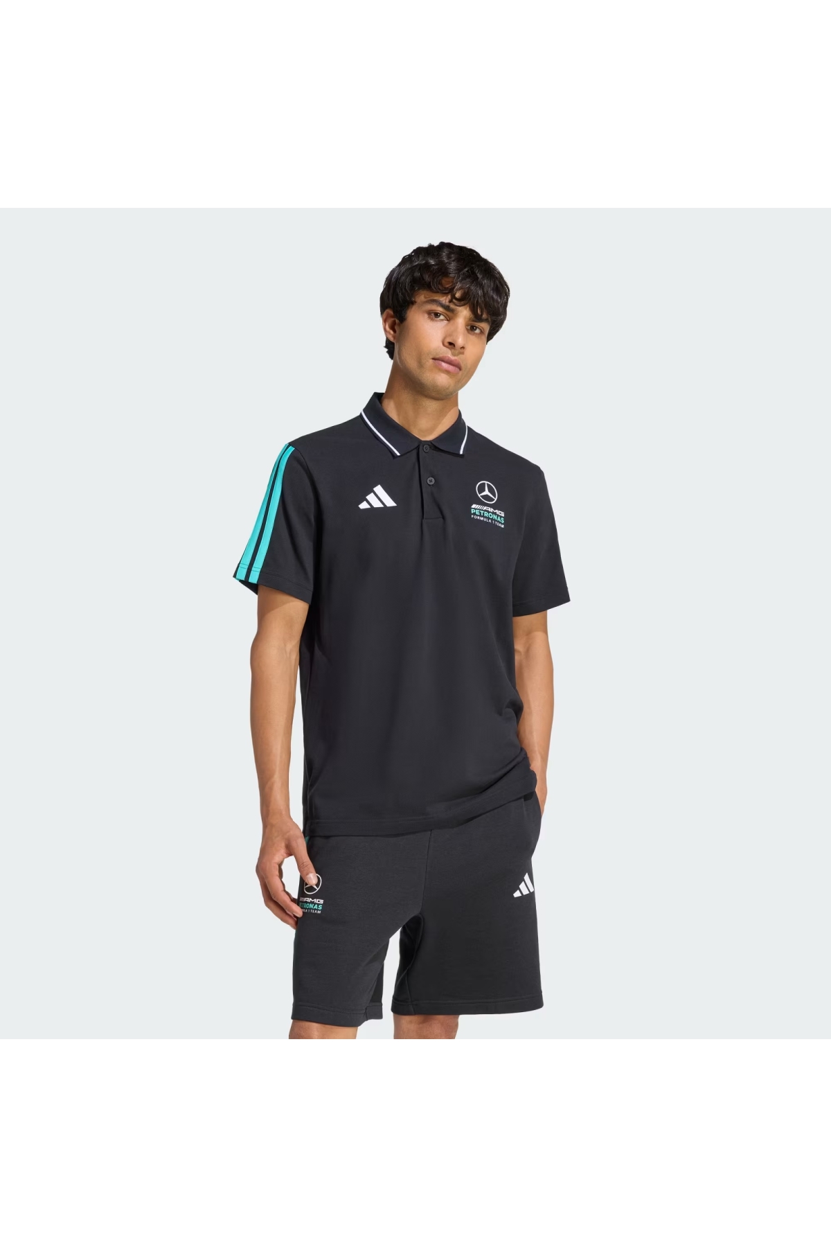 Mercedes - Amg Petronas Formula 1 Team DNA Erkek Polo T-shirt