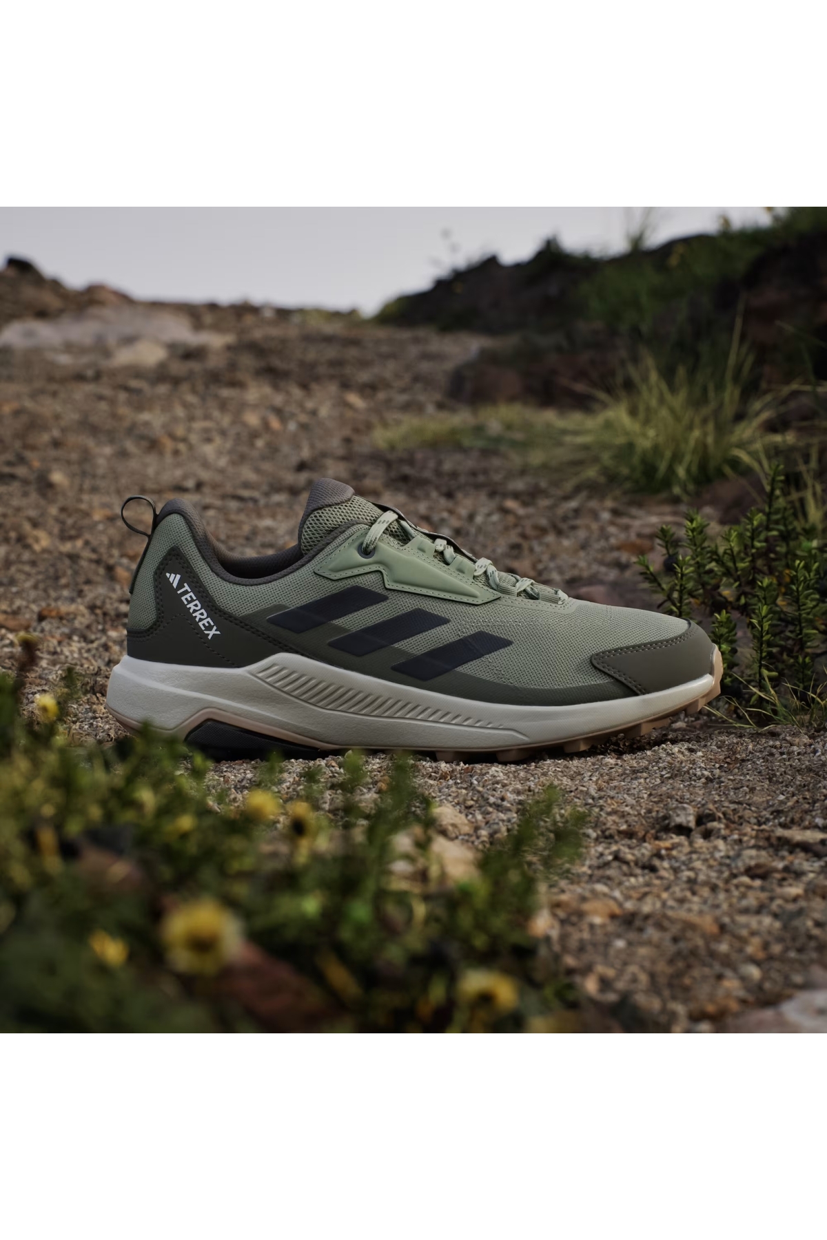 Adidas Tent Green Carbon Olive Strata Adidas Terrex Anylander