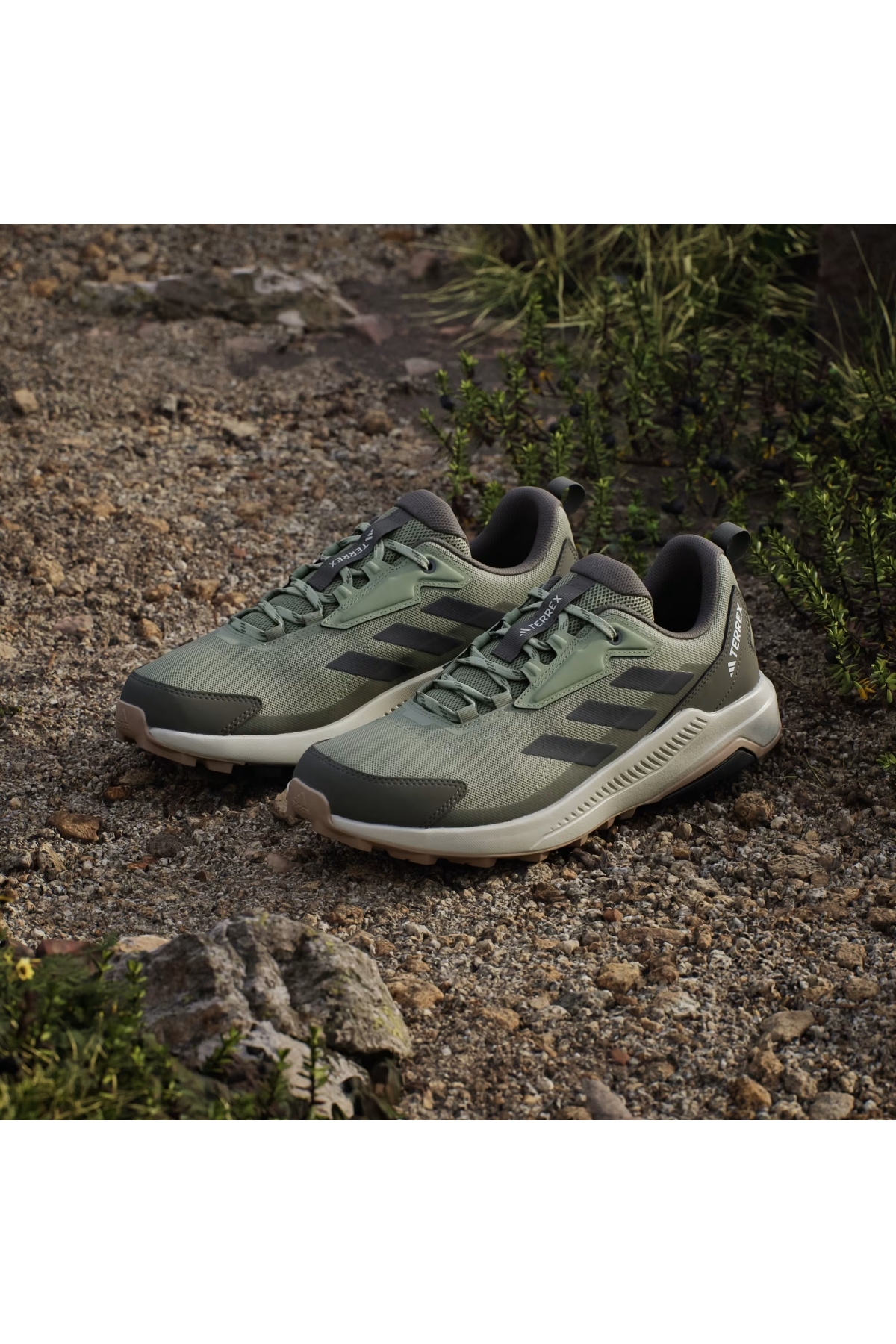 Adidas Tent Green Carbon Olive Strata Adidas Terrex Anylander