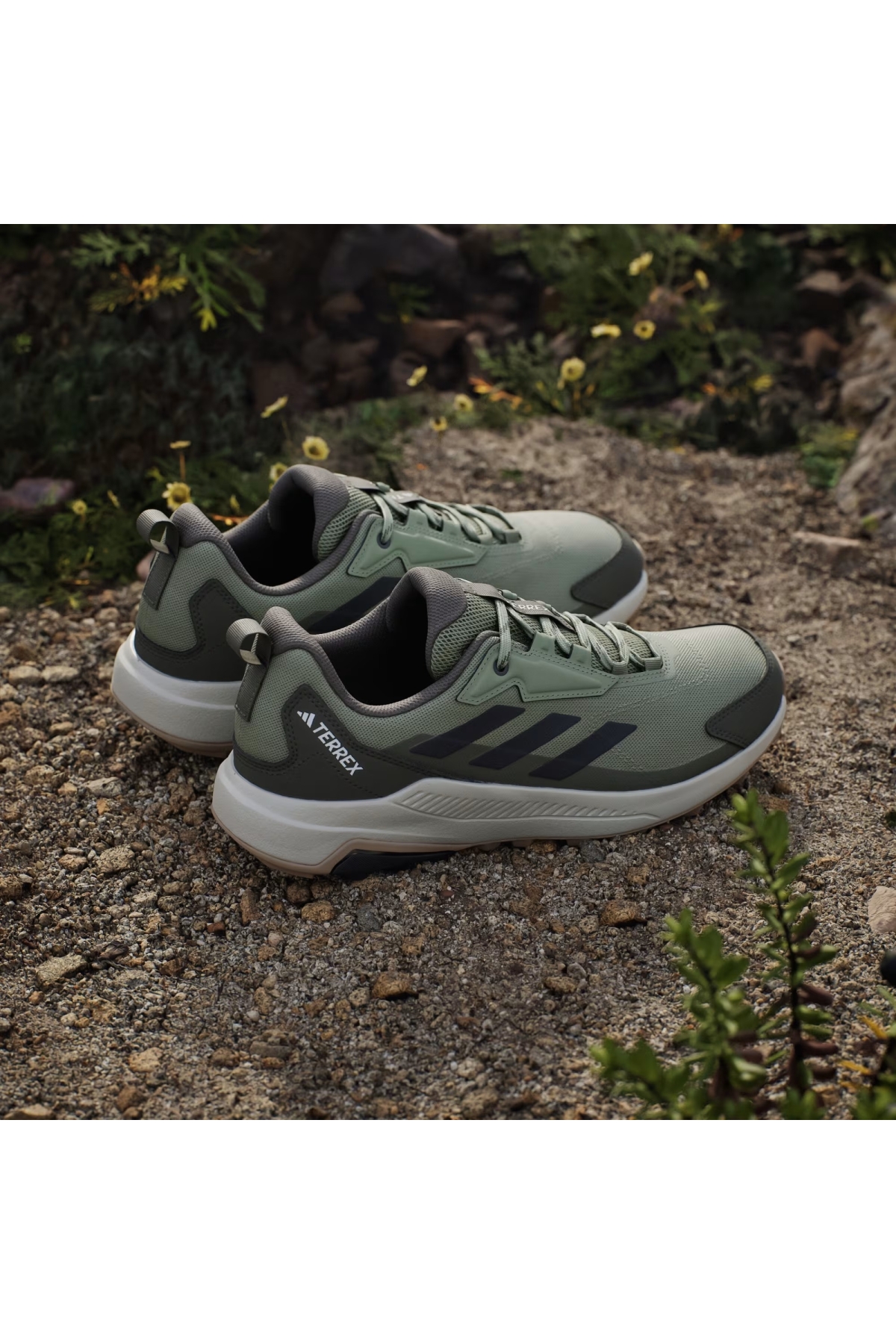 Adidas Tent Green Carbon Olive Strata Adidas Terrex Anylander