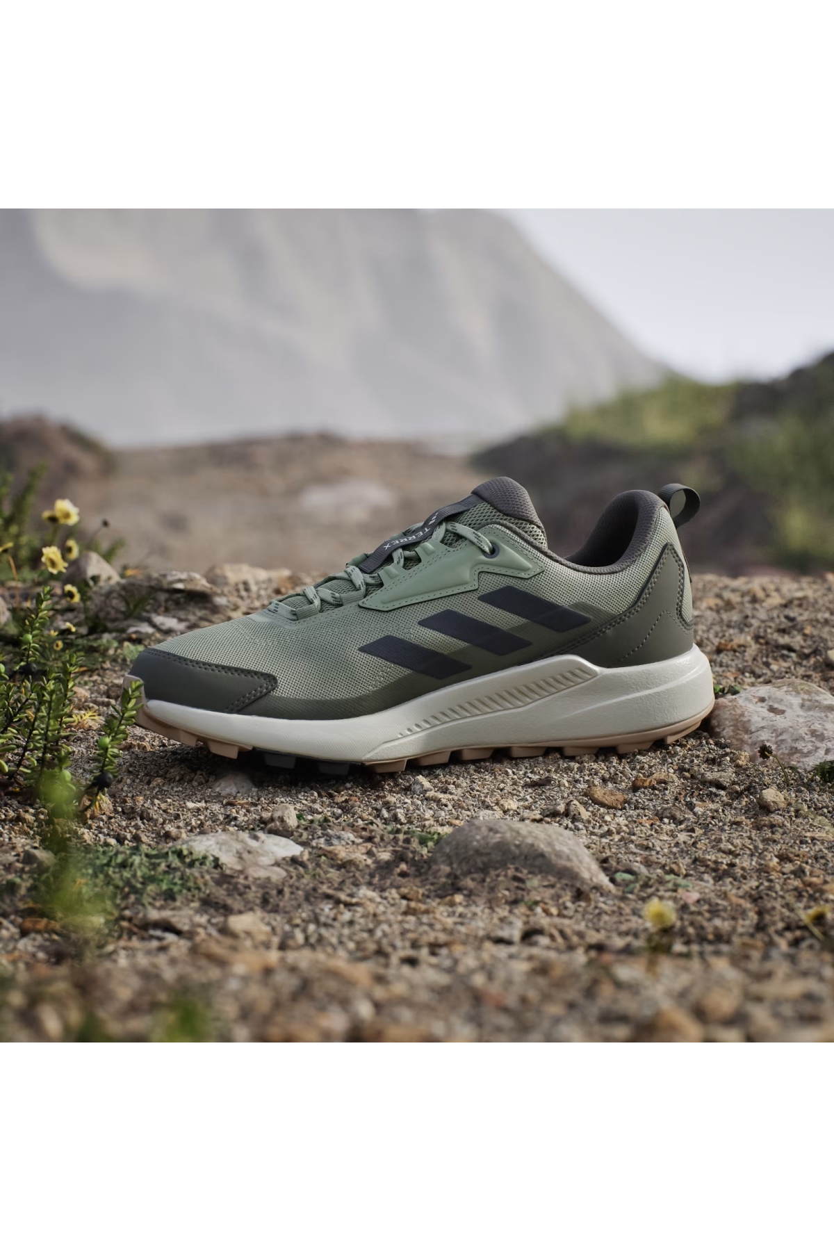 Adidas Tent Green Carbon Olive Strata Adidas Terrex Anylander