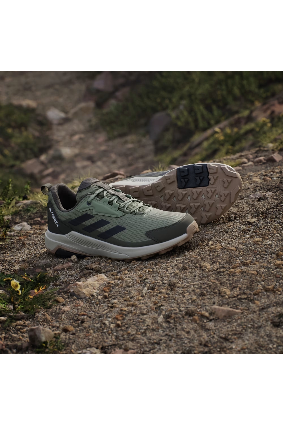 Adidas Tent Green Carbon Olive Strata Adidas Terrex Anylander