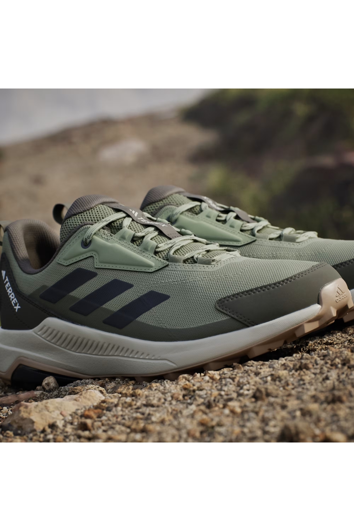 Adidas Tent Green Carbon Olive Strata Adidas Terrex Anylander
