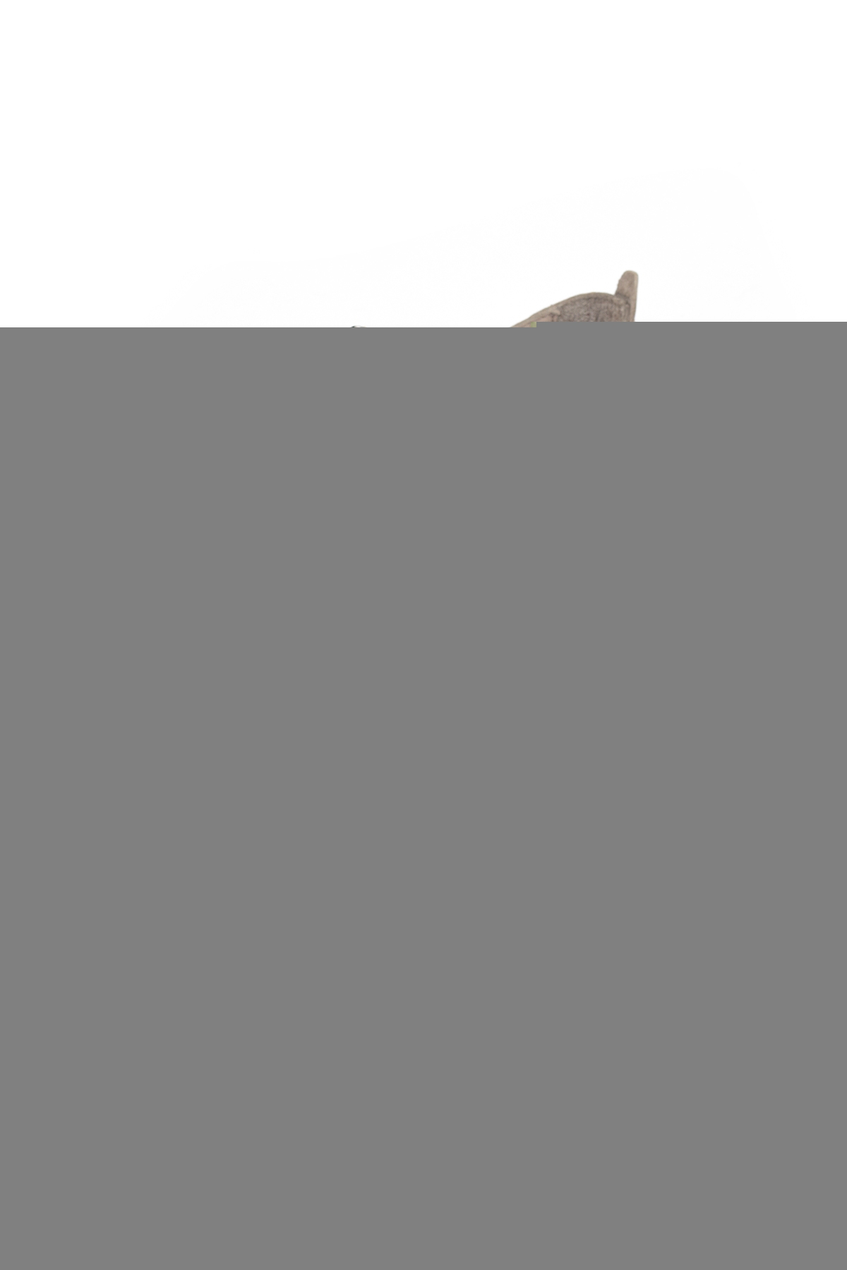 Ziya Beyaz Ziya Hakiki Kadın Deri Günlük Ayakkabı 1611046Z8031