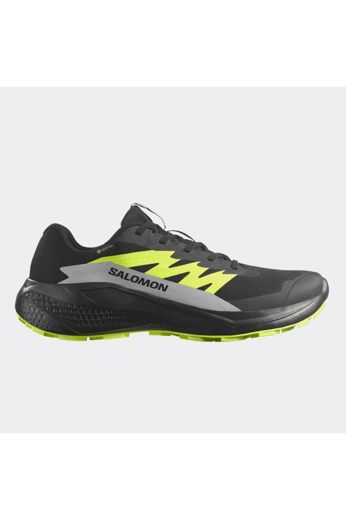 Salomon Alphaglide Gore-Tex
