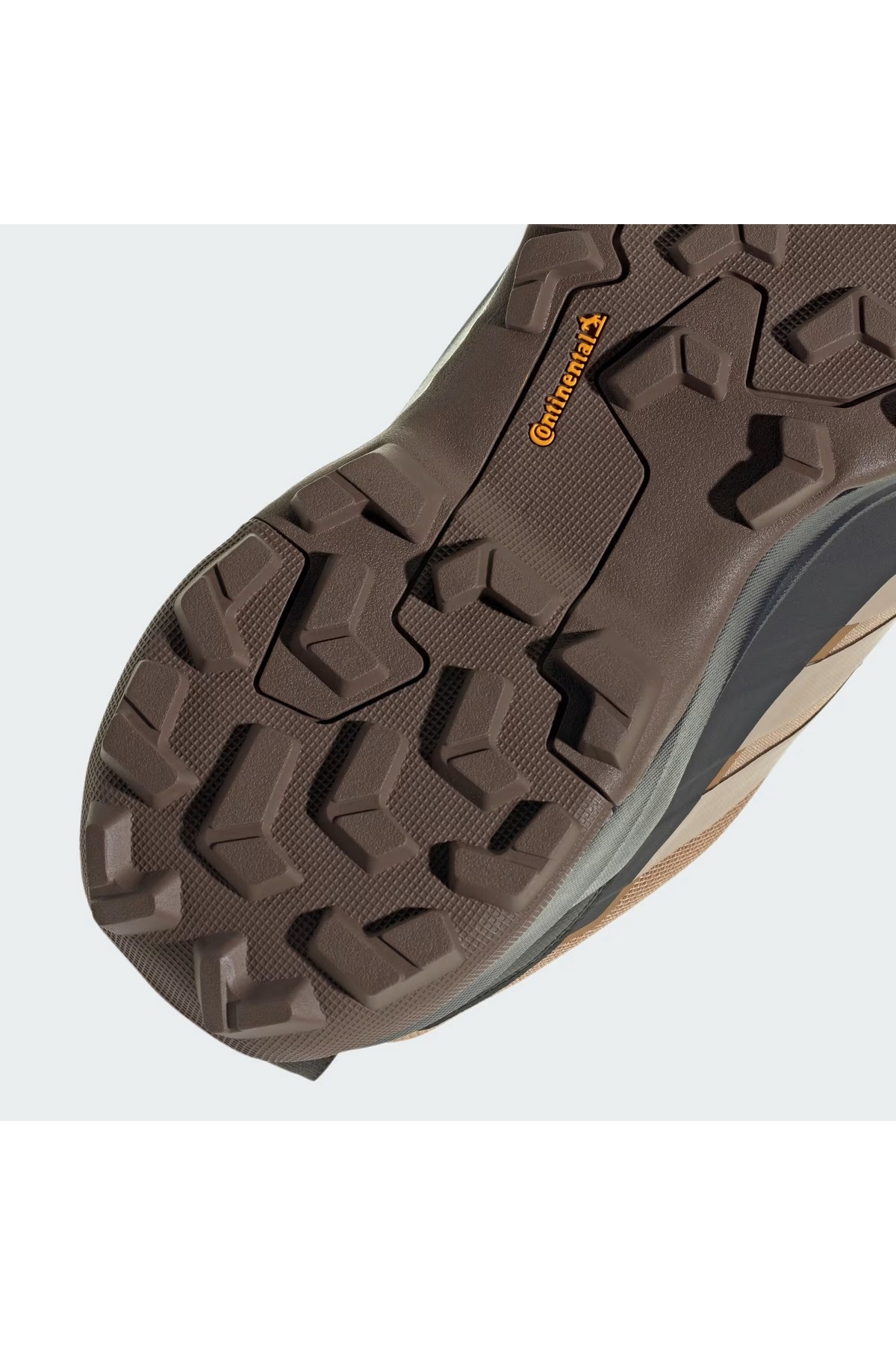 Adidas Kahverengi Adidas Terrex Skychaser AX5