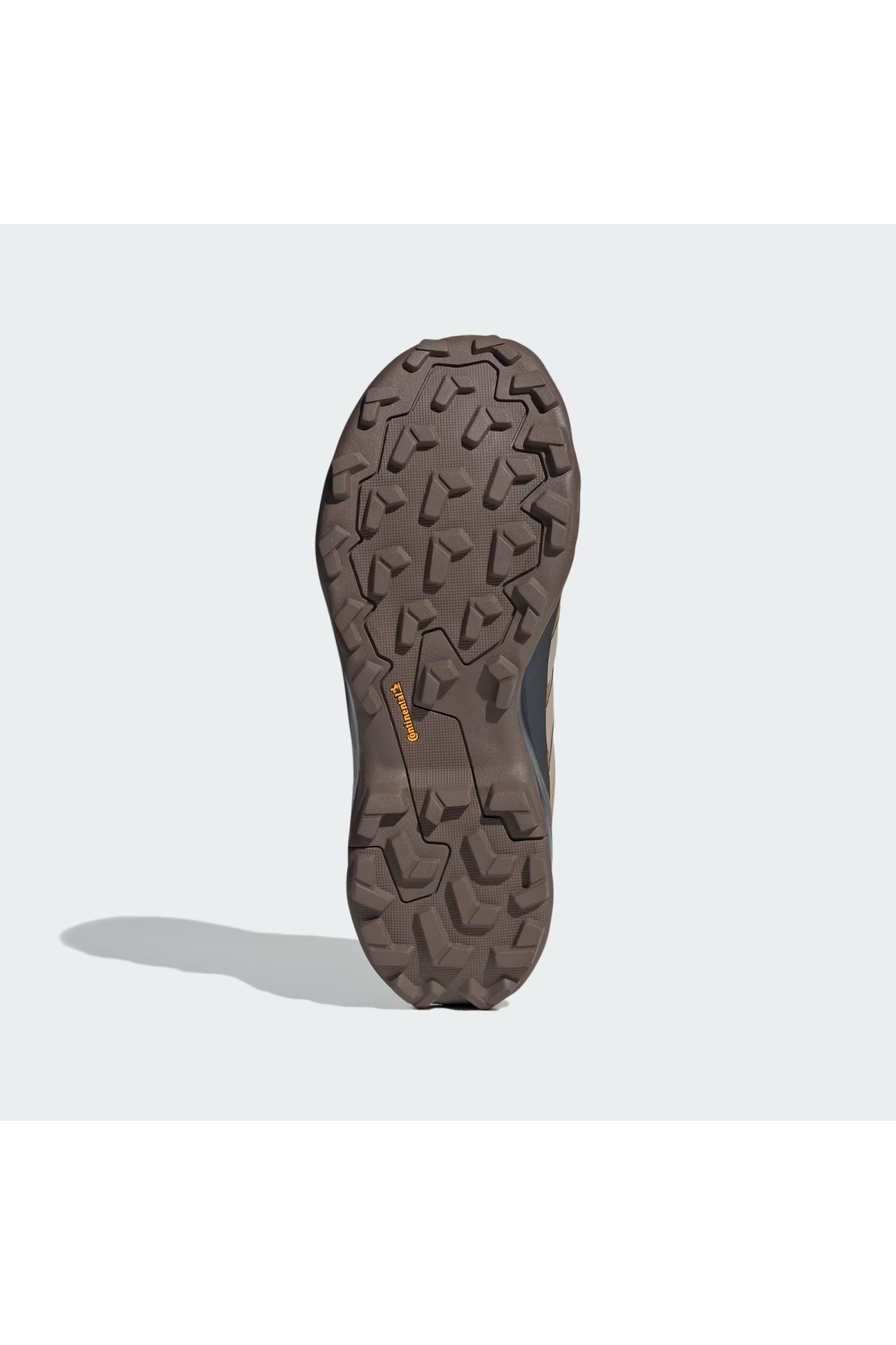 Adidas Kahverengi Adidas Terrex Skychaser AX5