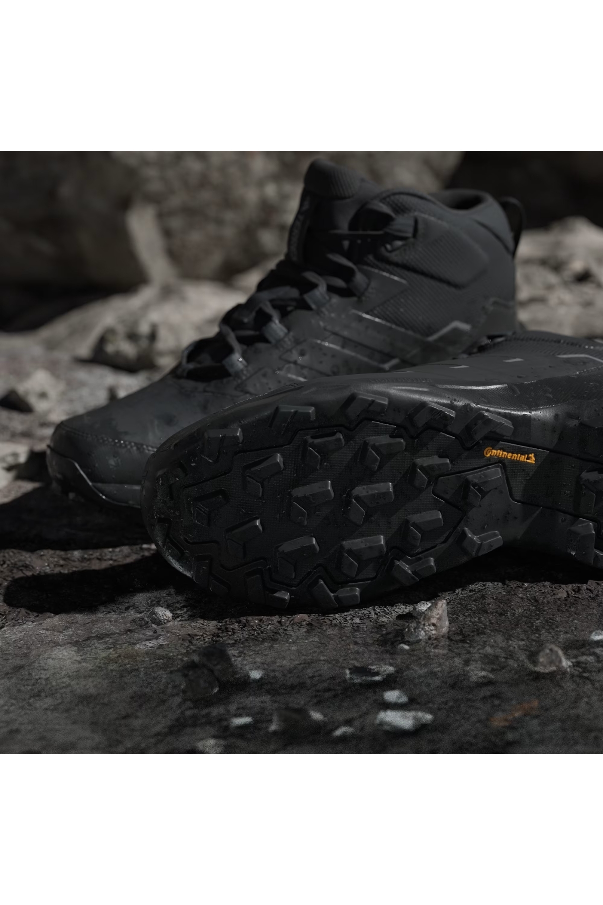 Adidas Siyah Adidas Terrex Skychaser AX5