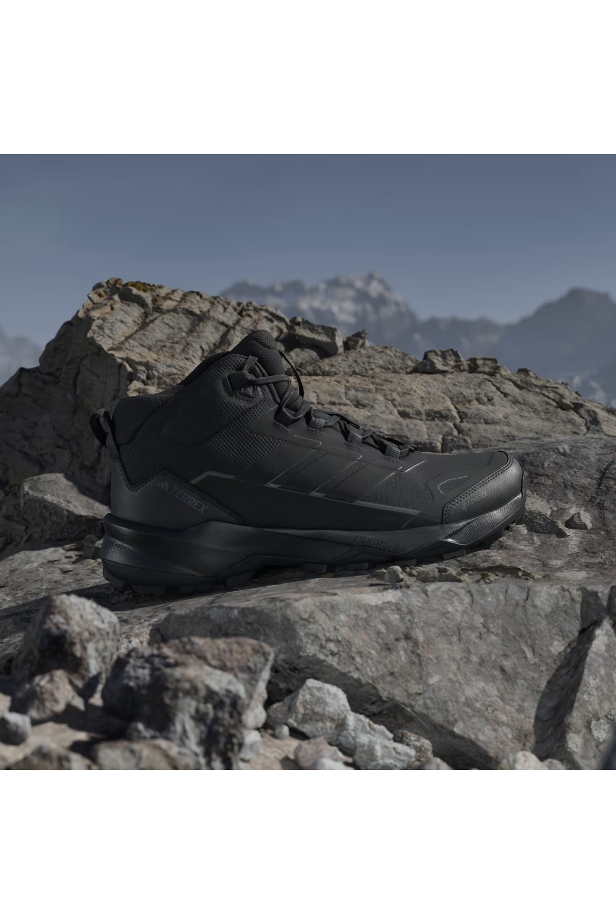 Adidas Siyah Adidas Terrex Skychaser AX5