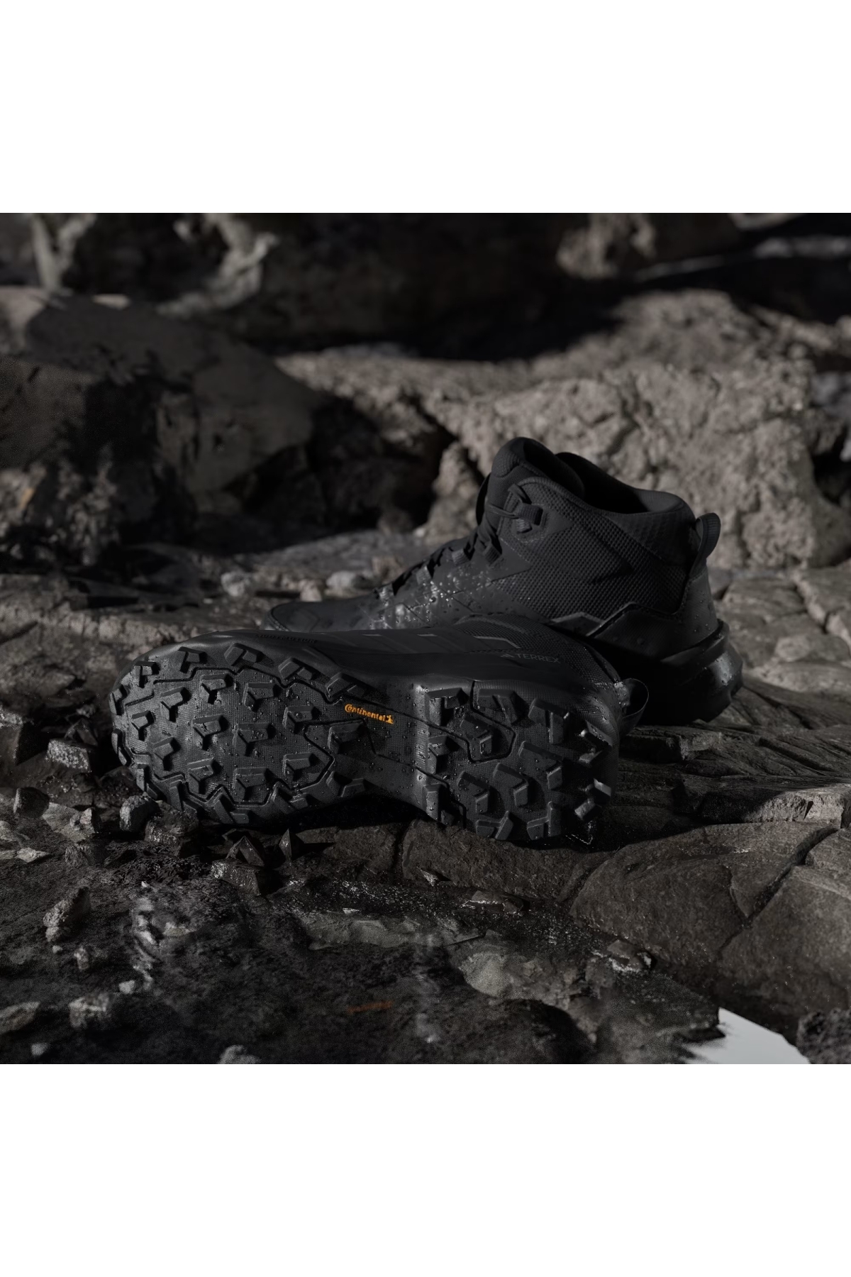 Adidas Siyah Adidas Terrex Skychaser AX5