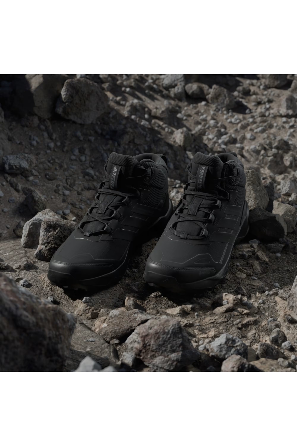 Adidas Siyah Adidas Terrex Skychaser AX5