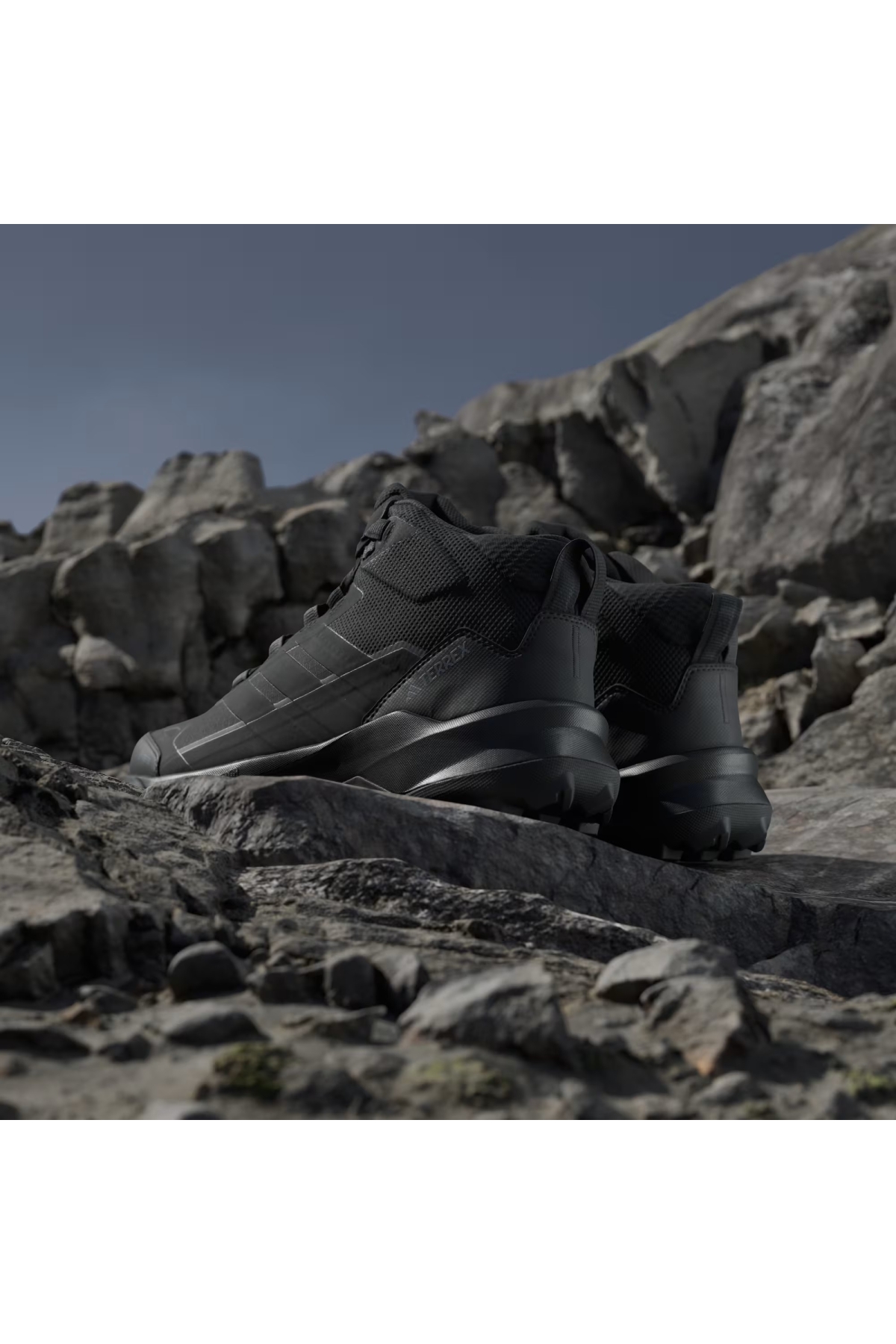 Adidas Siyah Adidas Terrex Skychaser AX5