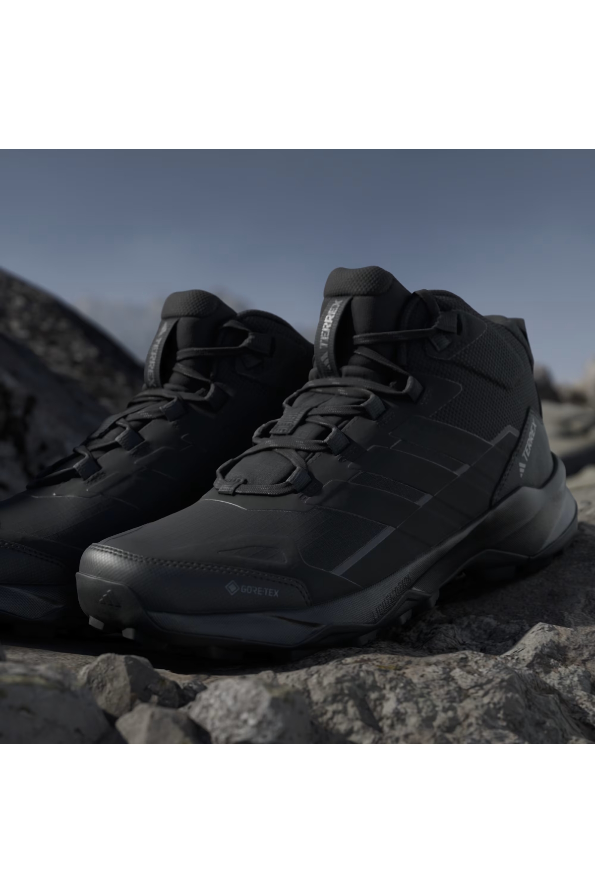 Adidas Siyah Adidas Terrex Skychaser AX5