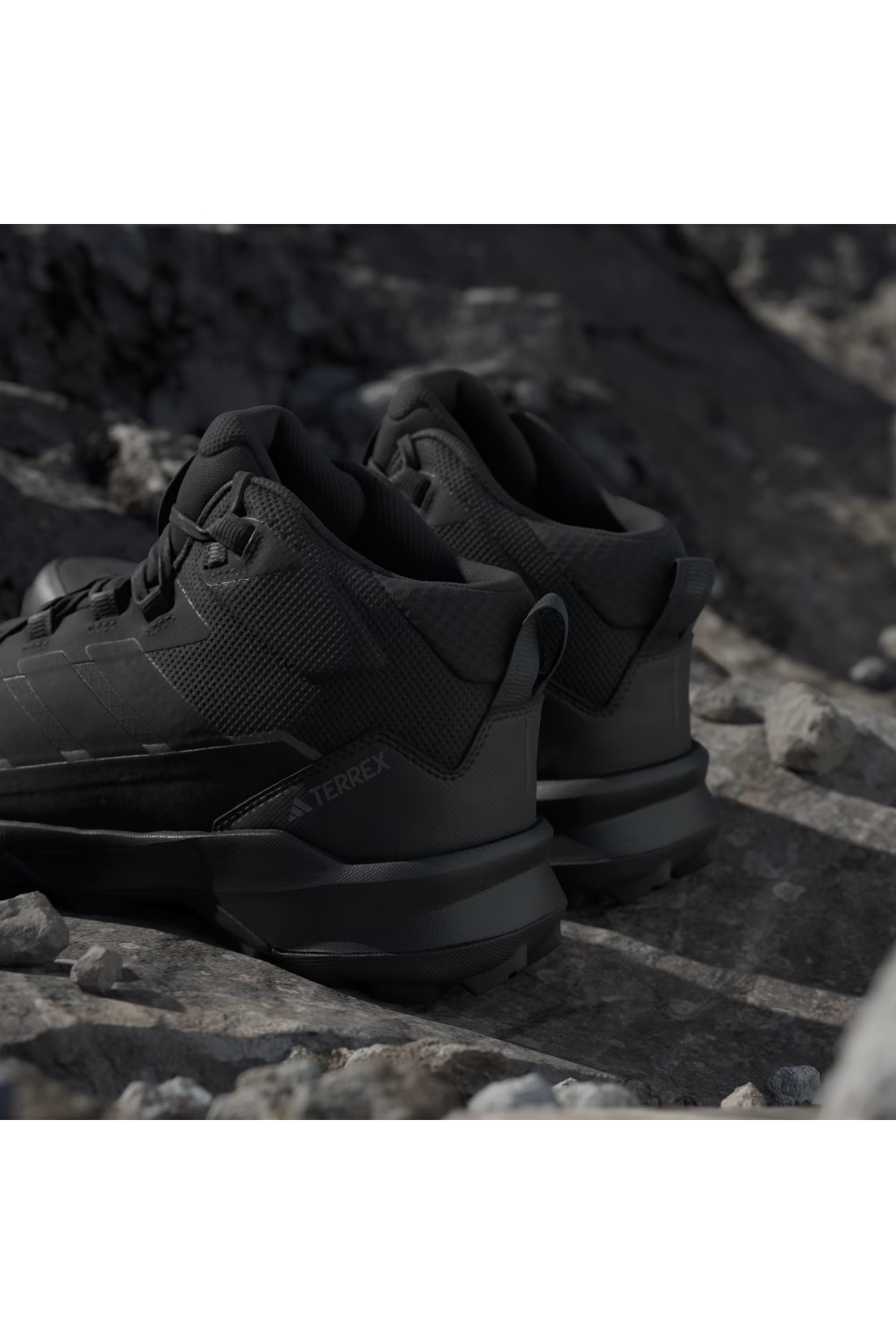 Adidas Siyah Adidas Terrex Skychaser AX5