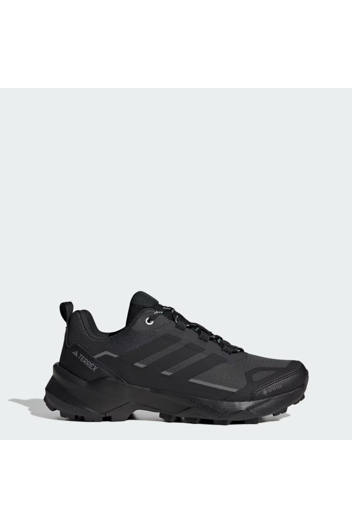 Adidas Siyah Adidas Terrex Skychaser Ax5