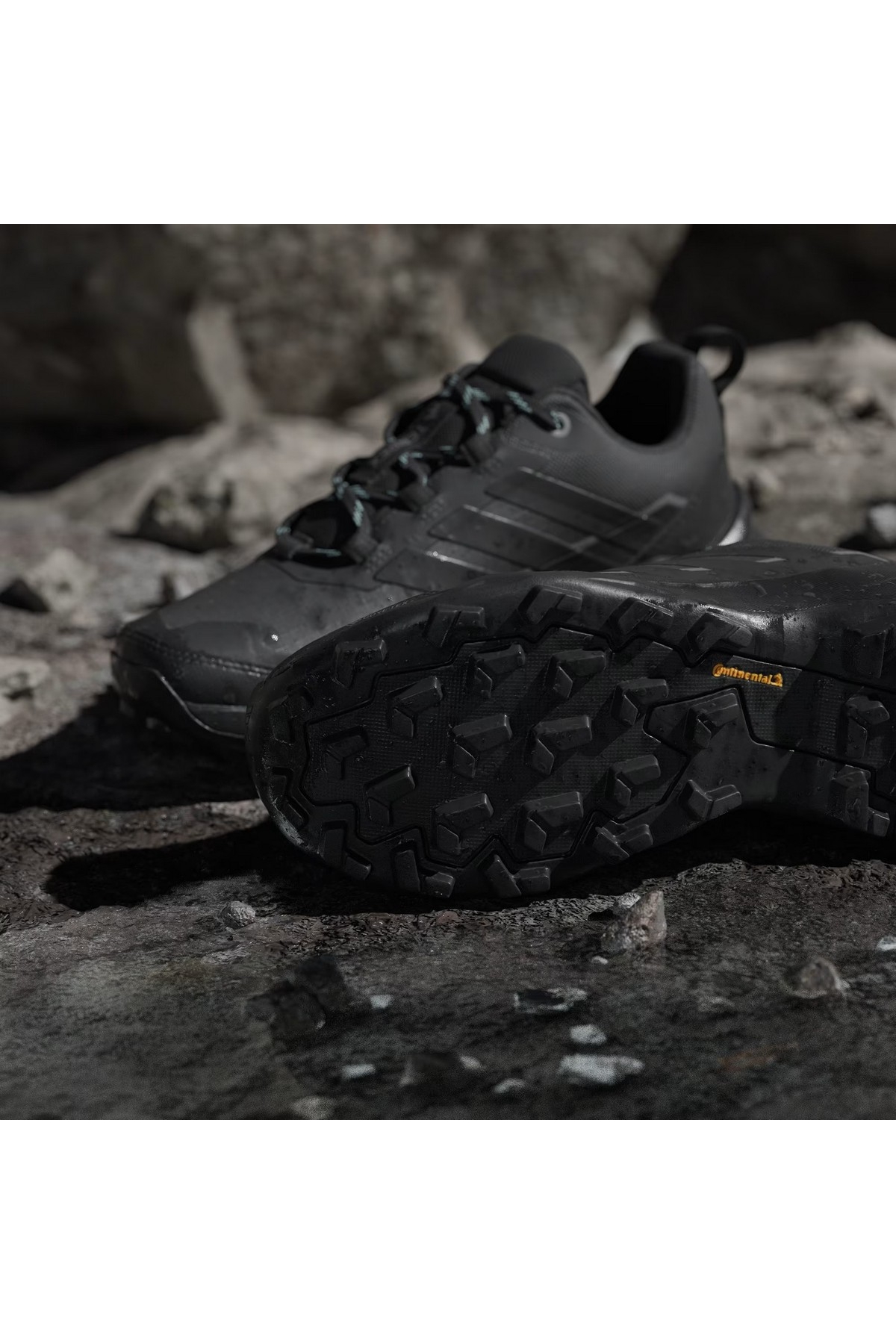 Adidas Siyah Adidas Terrex Skychaser Ax5