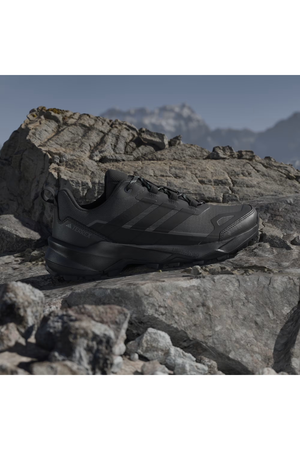 Adidas Siyah Adidas Terrex Skychaser Ax5