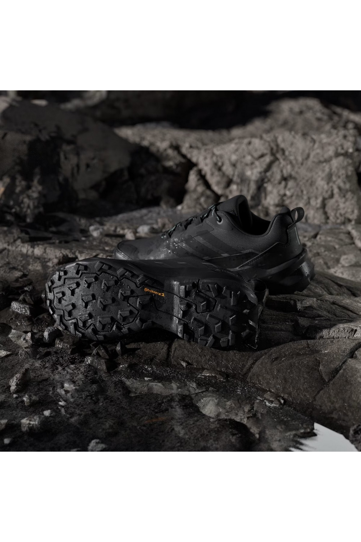 Adidas Siyah Adidas Terrex Skychaser Ax5