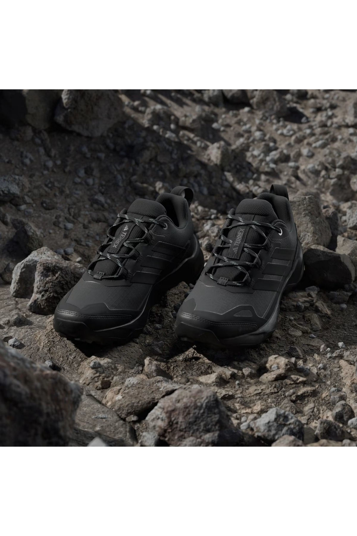 Adidas Siyah Adidas Terrex Skychaser Ax5