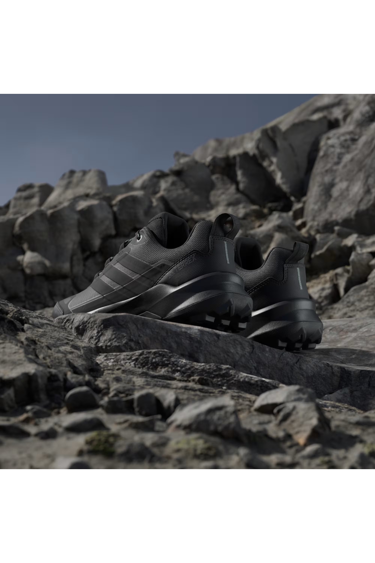 Adidas Siyah Adidas Terrex Skychaser Ax5