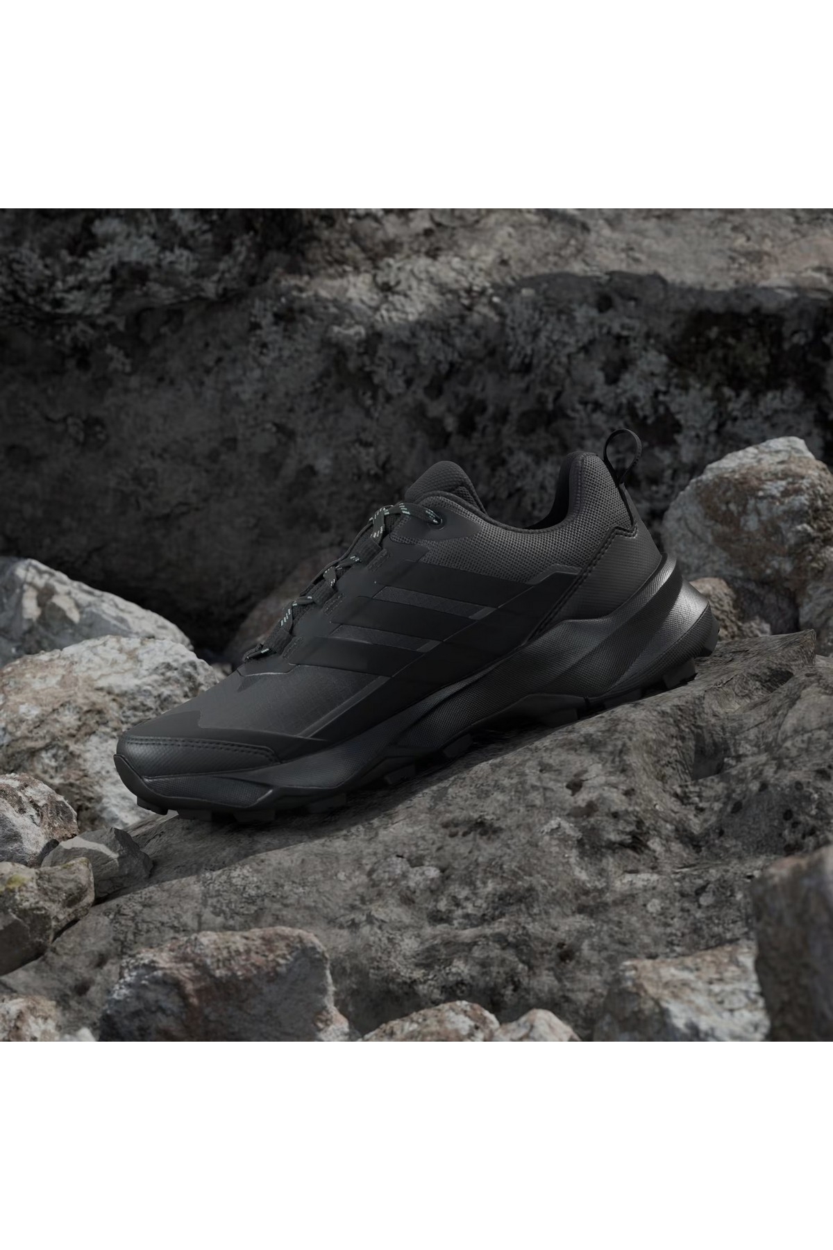 Adidas Siyah Adidas Terrex Skychaser Ax5