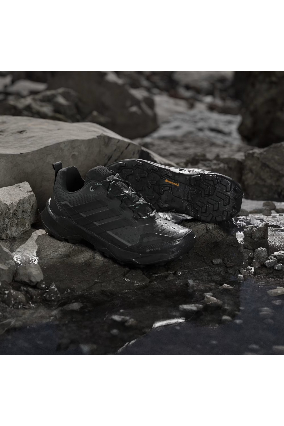 Adidas Siyah Adidas Terrex Skychaser Ax5