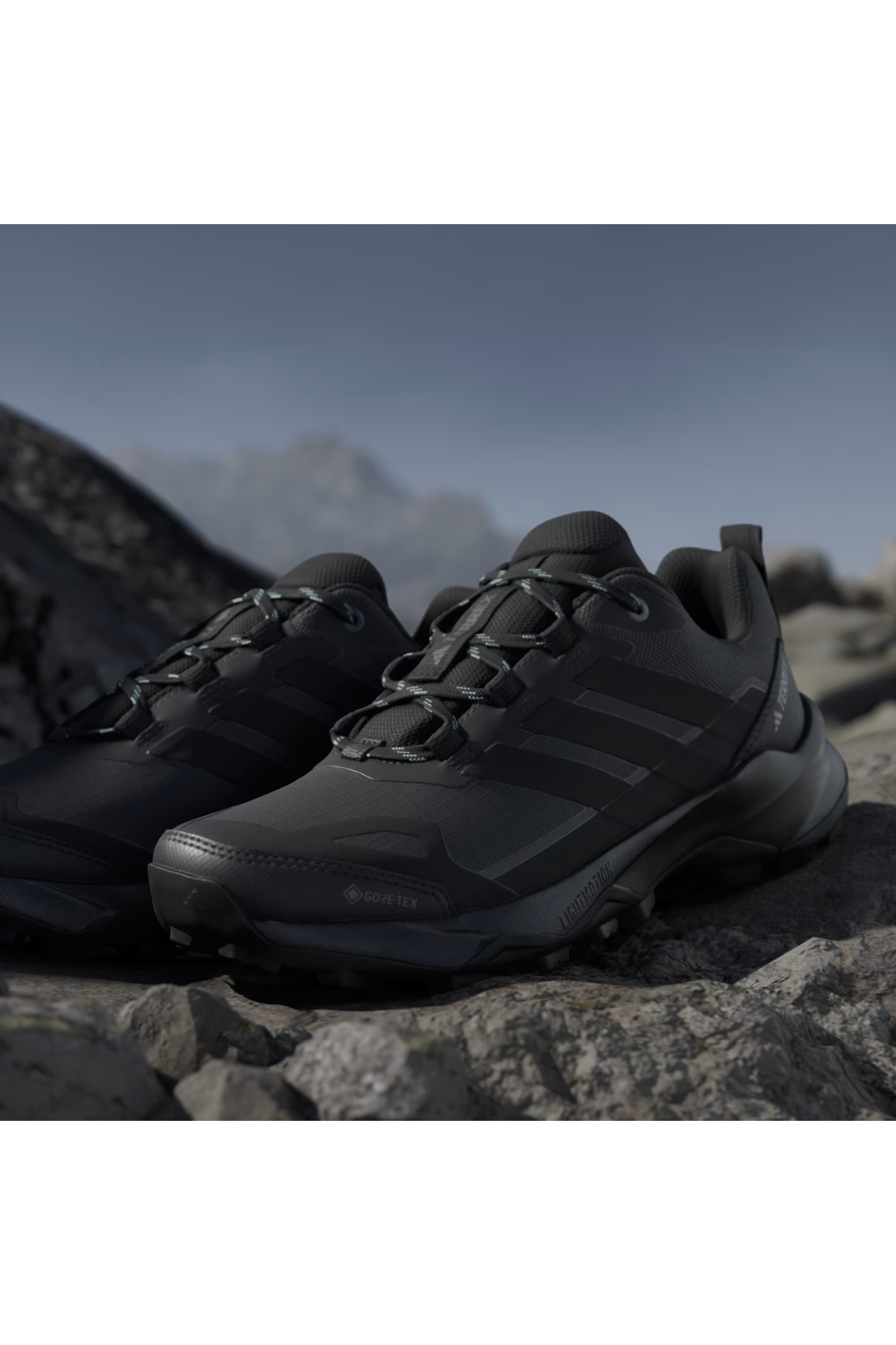 Adidas Siyah Adidas Terrex Skychaser Ax5