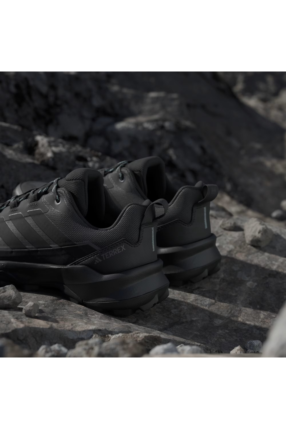 Adidas Siyah Adidas Terrex Skychaser Ax5