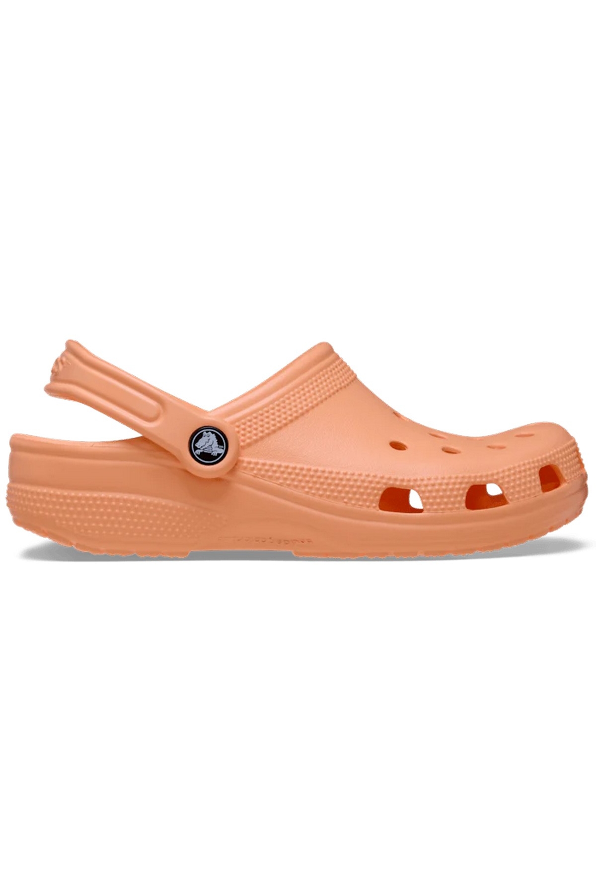 Crocs Classic