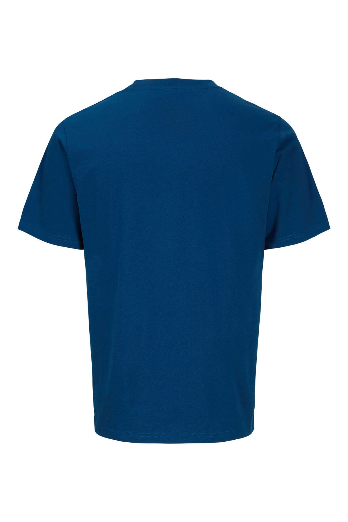 Erkek T Shirt 12297851 İNDİGO Fiyatları - 201771666 | Flo